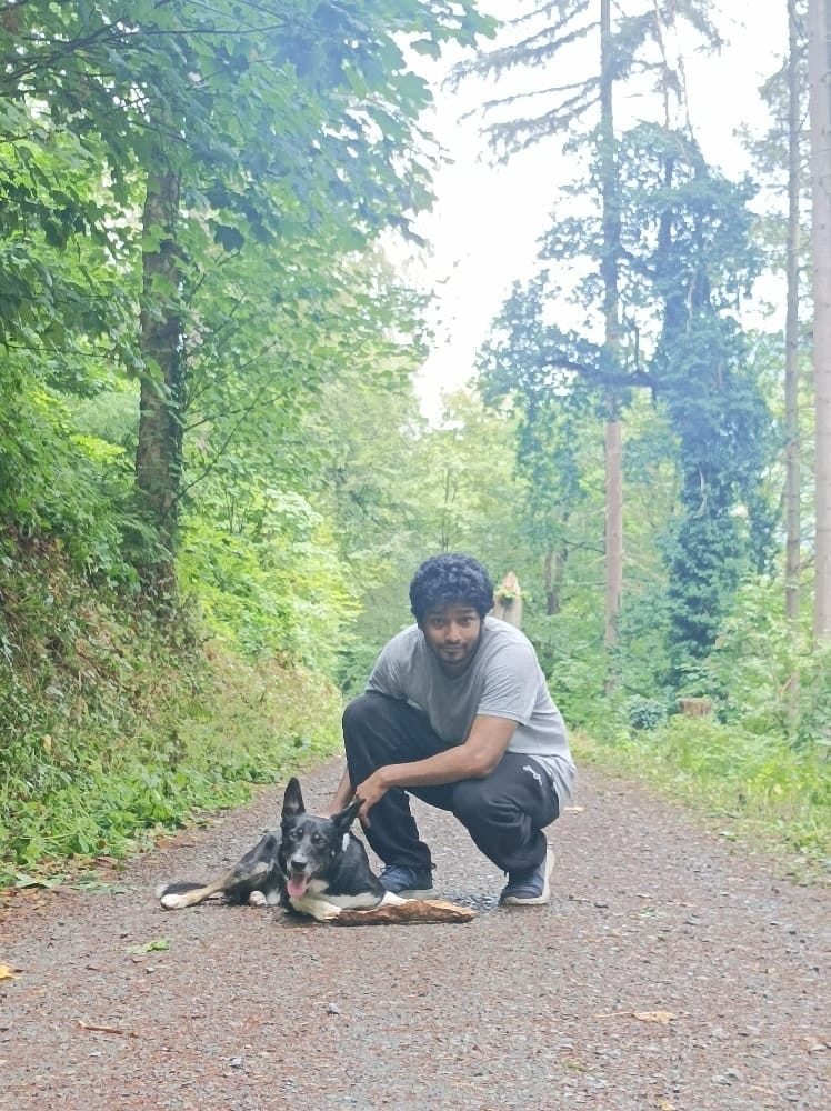 image-3
