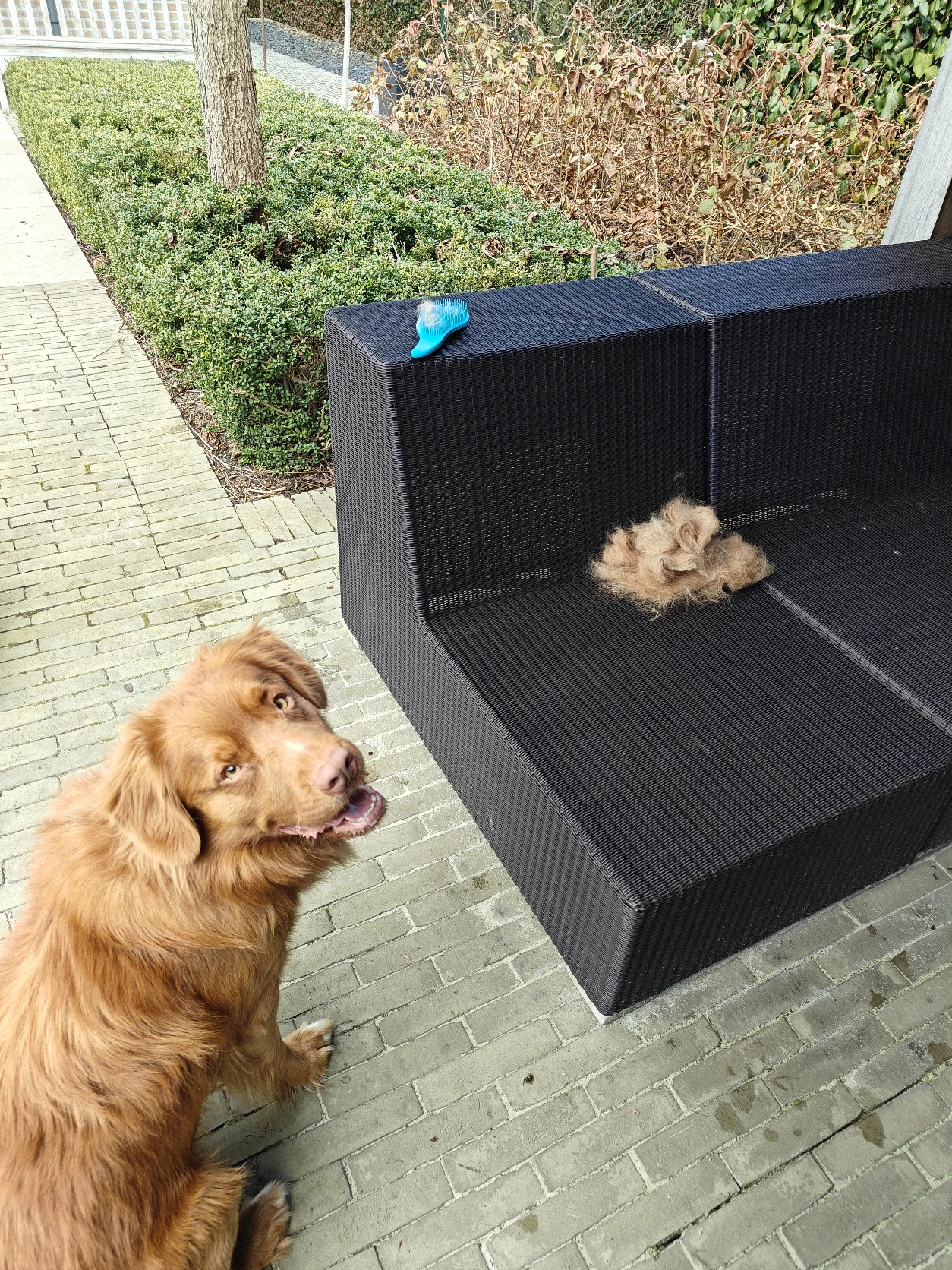 image-6