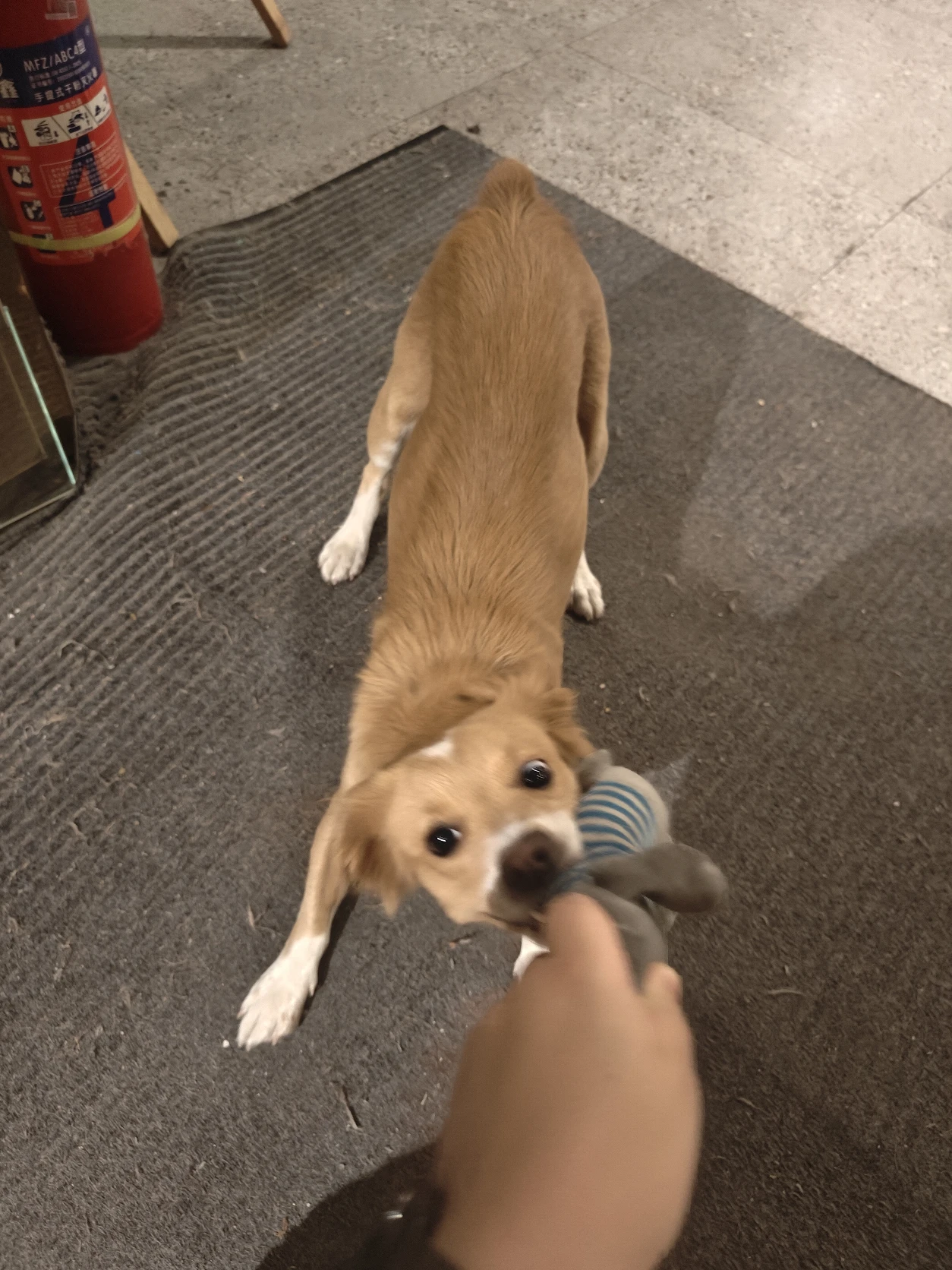 image-7