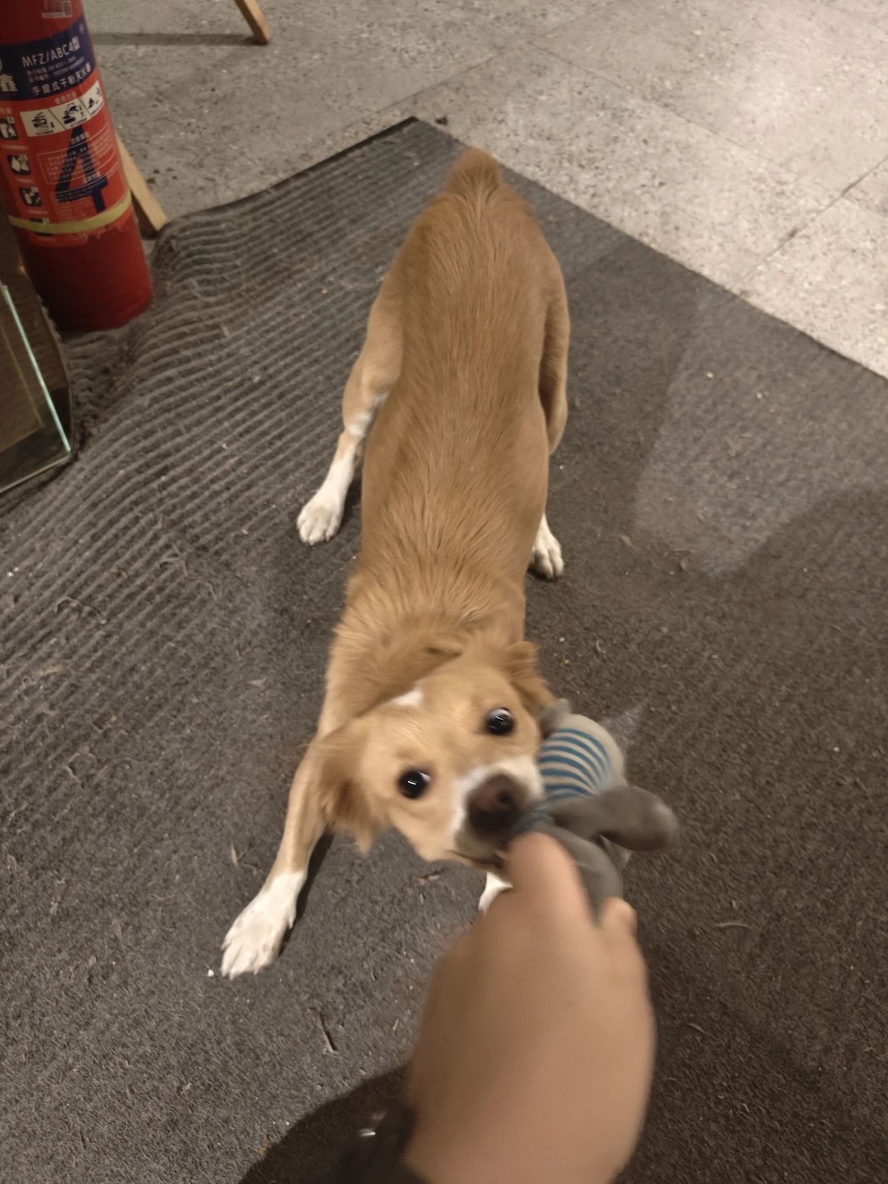 image-7