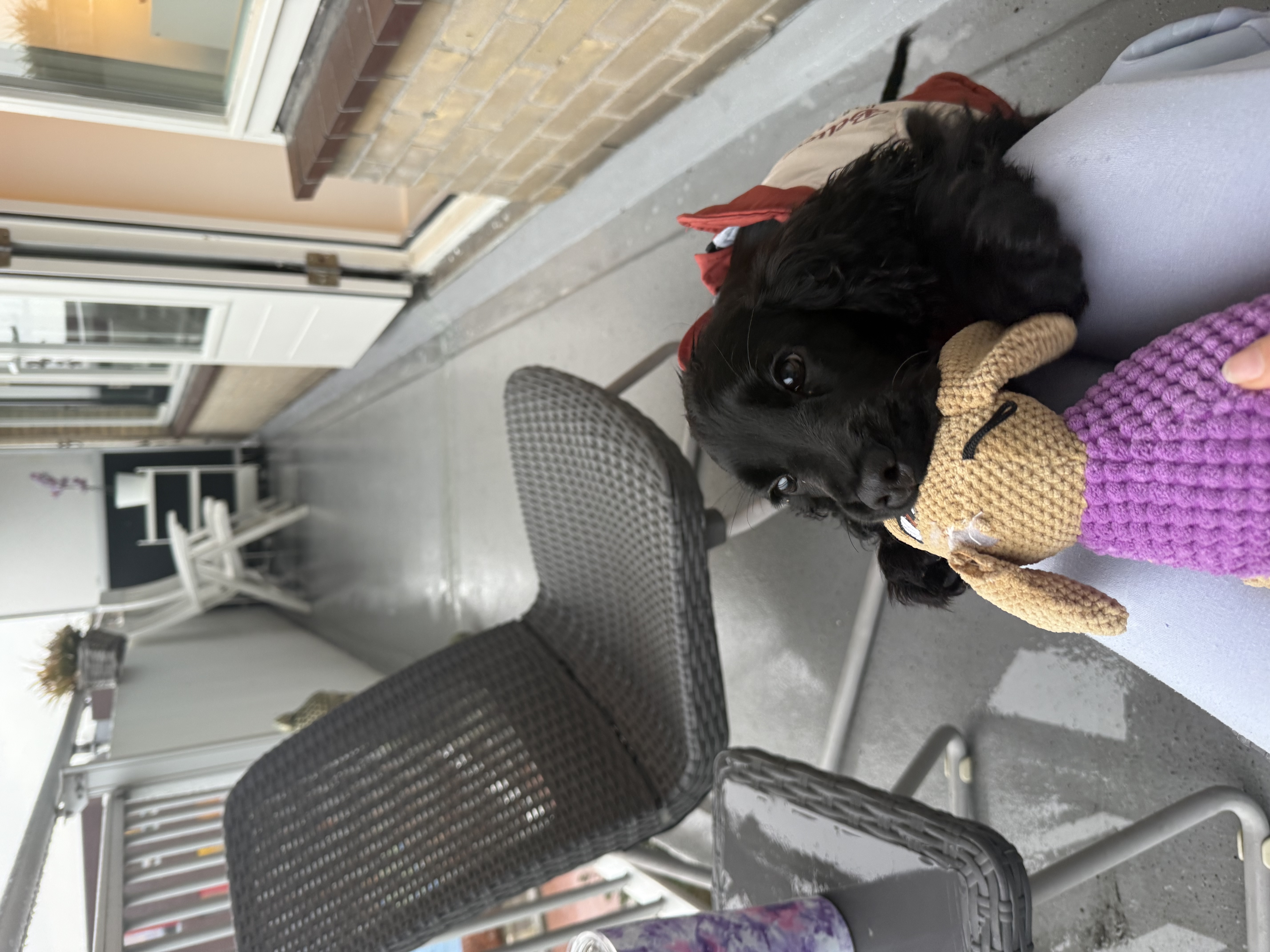 image-42
