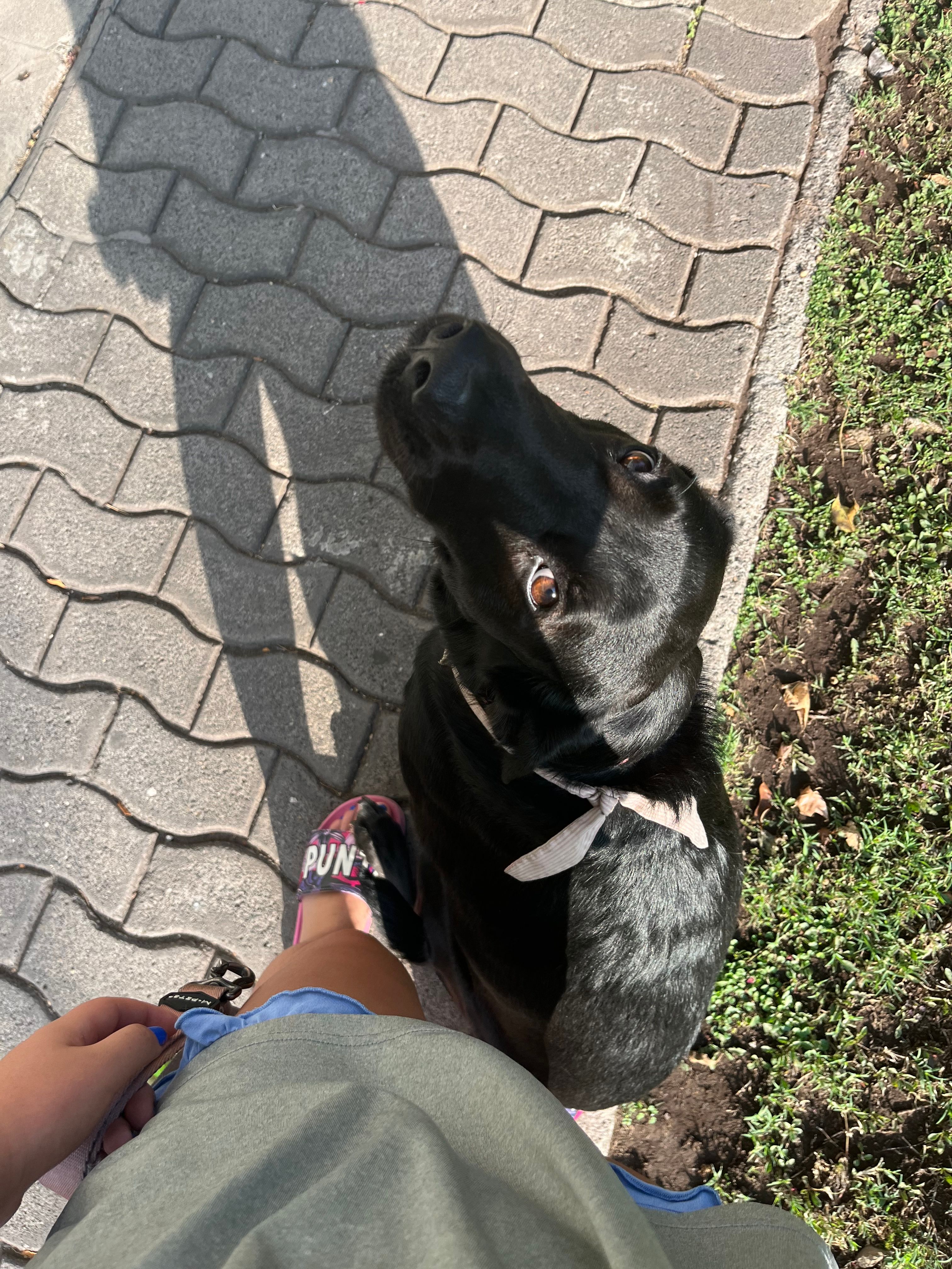 image-7