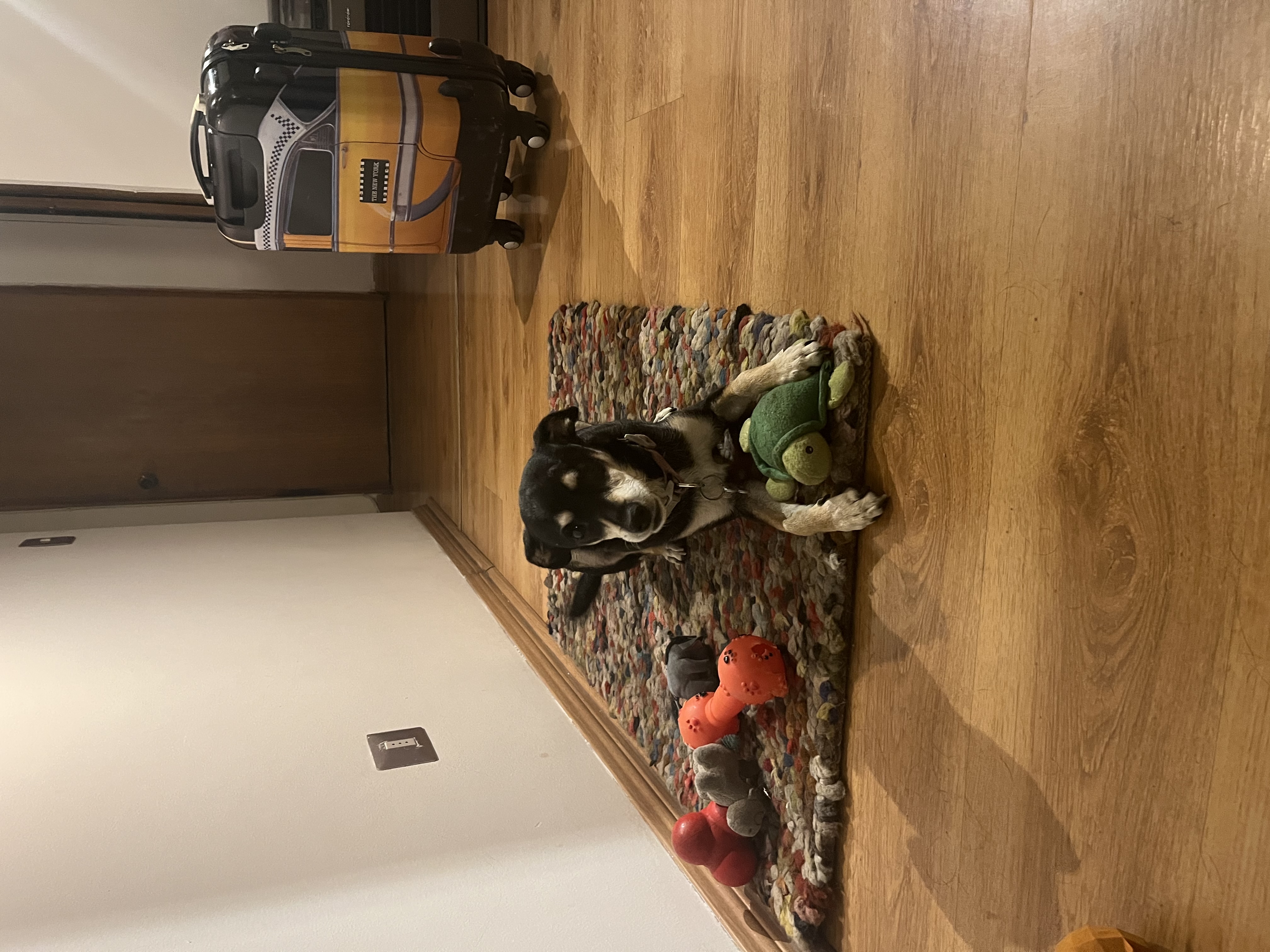 image-8