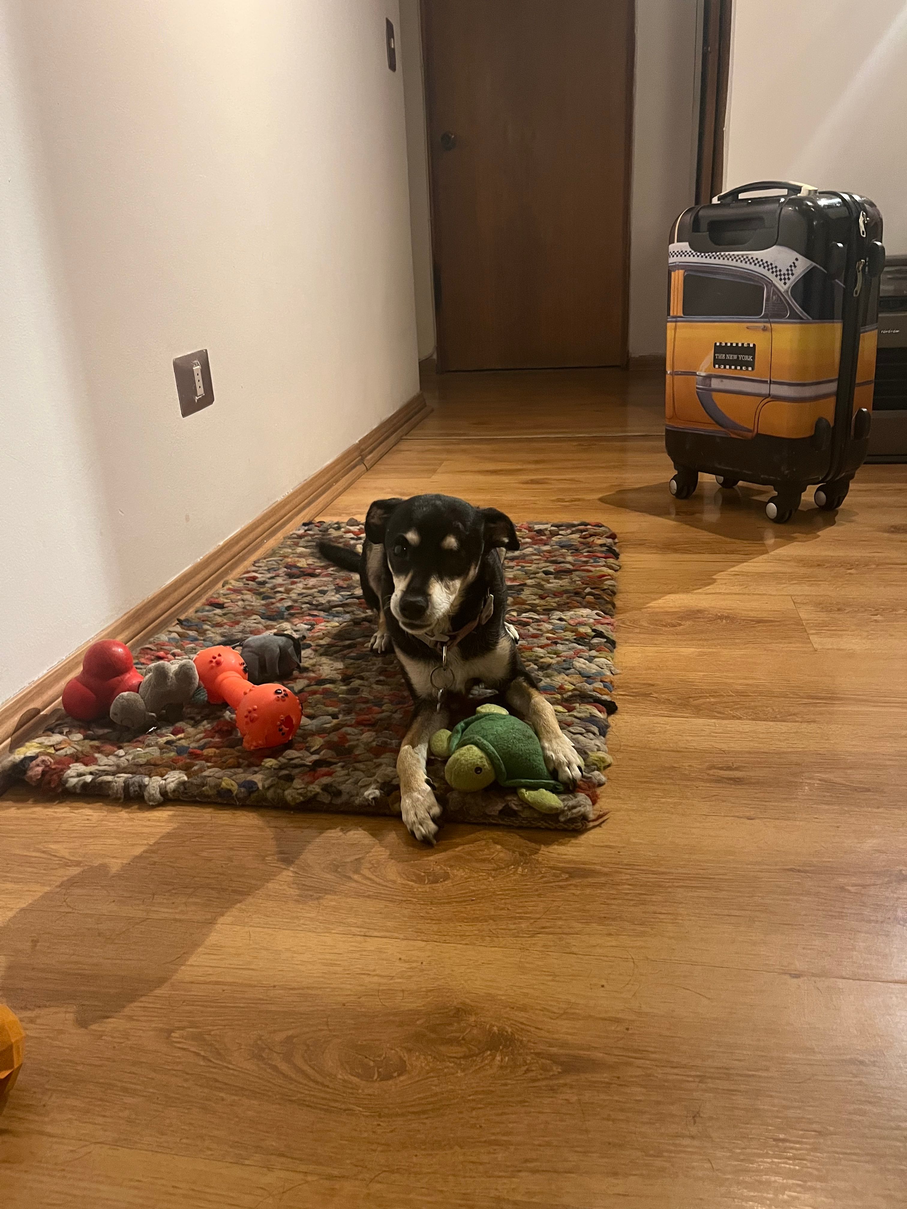 image-8