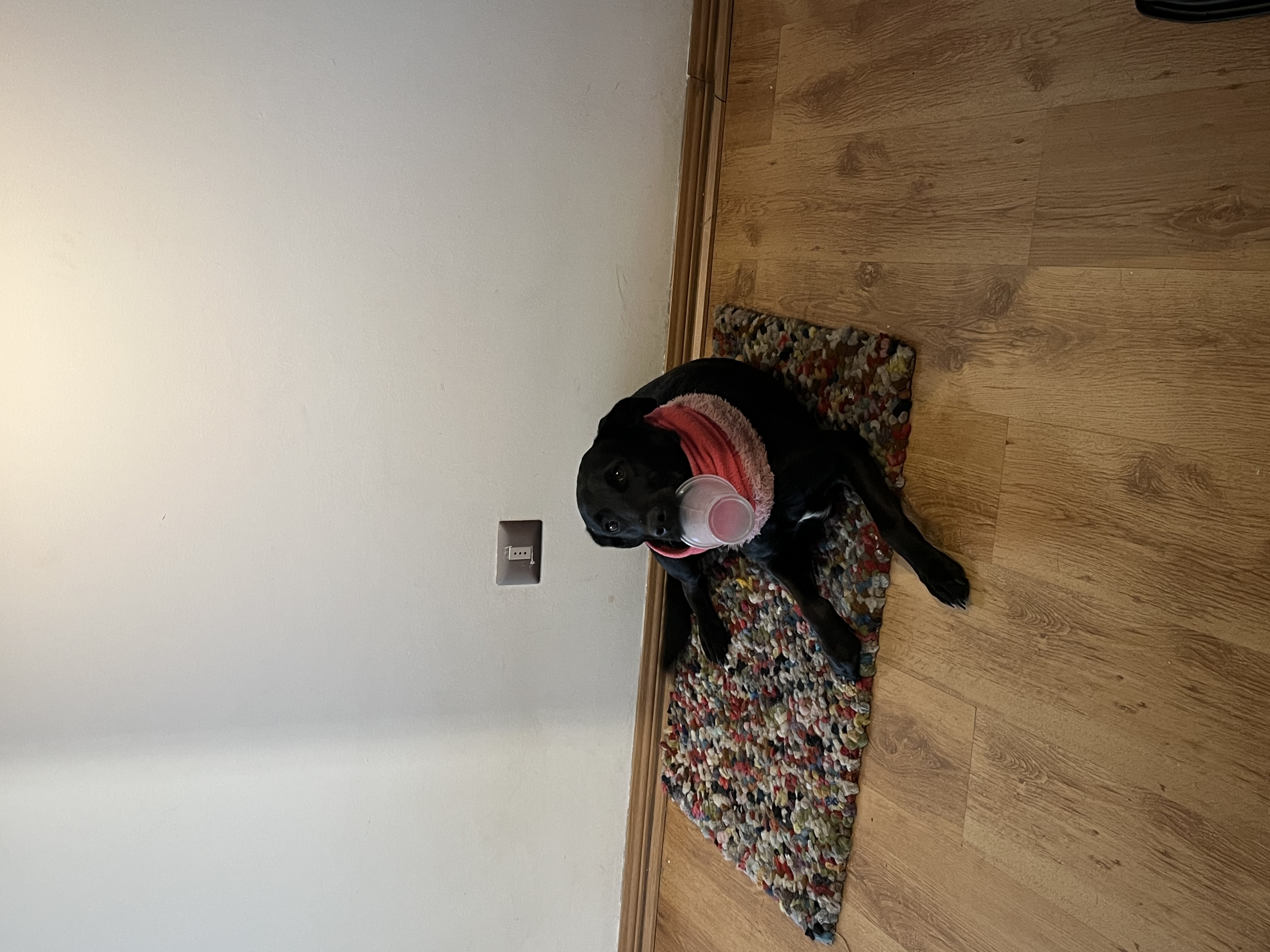image-13