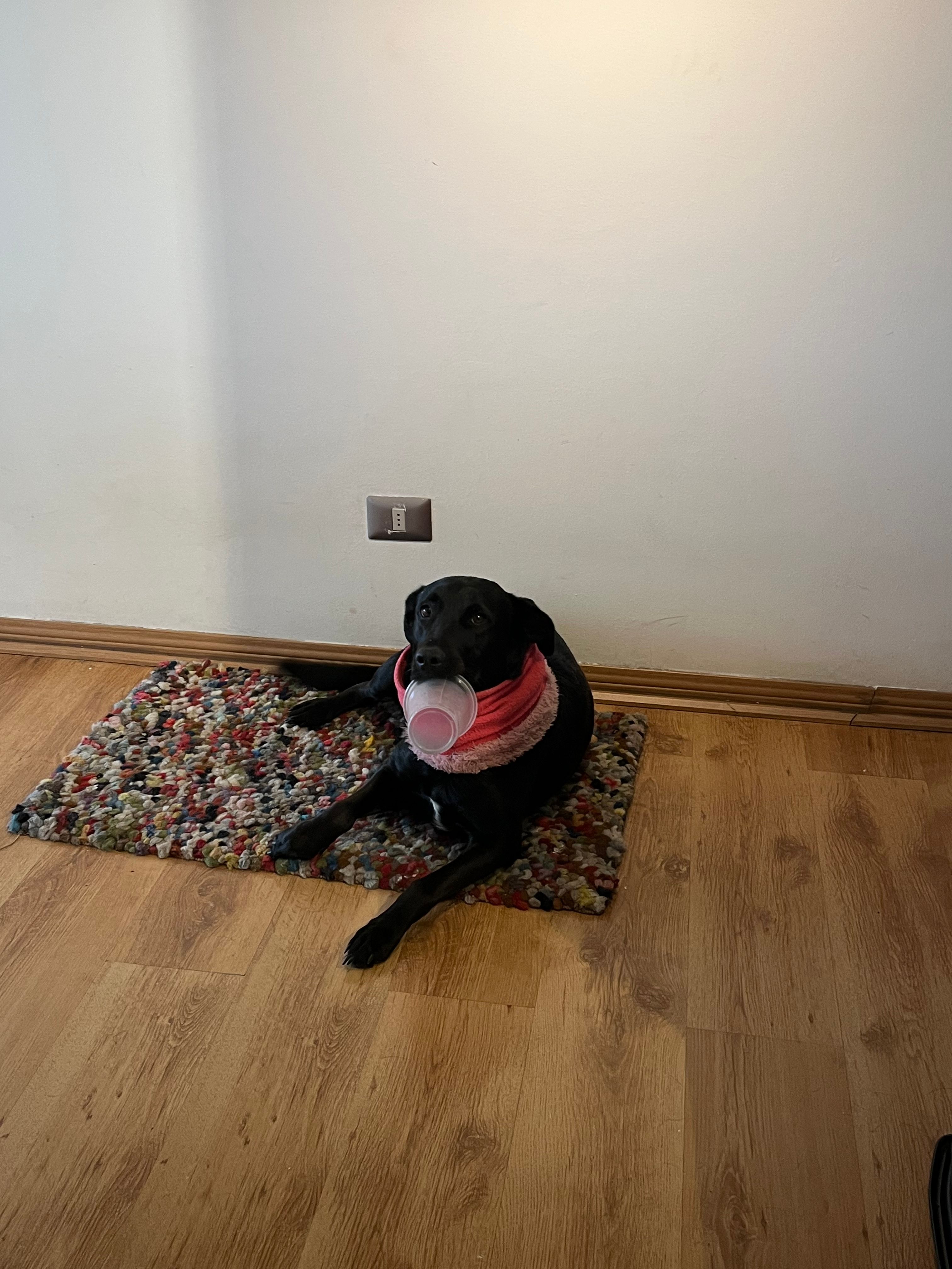 image-13