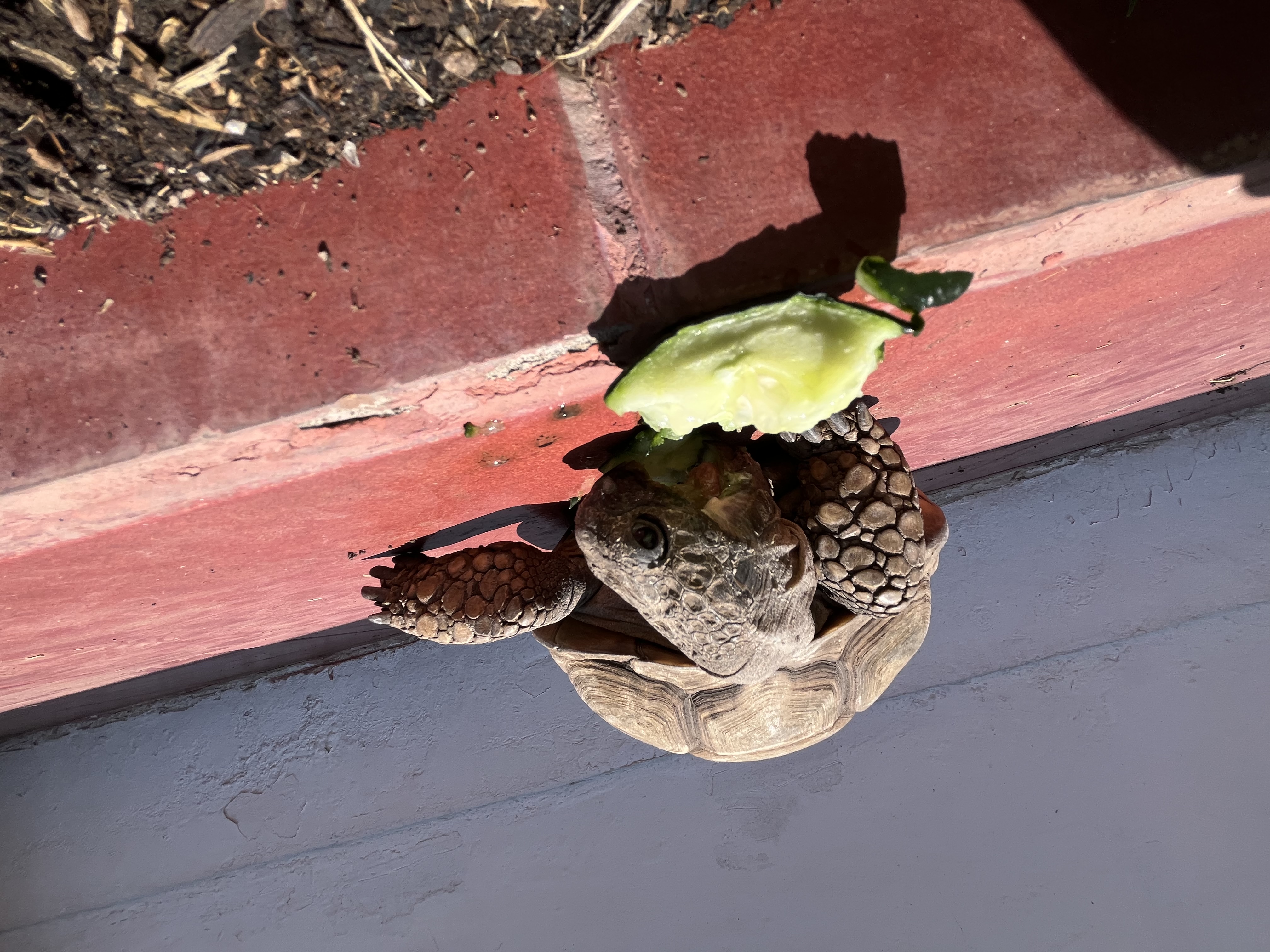 image-10