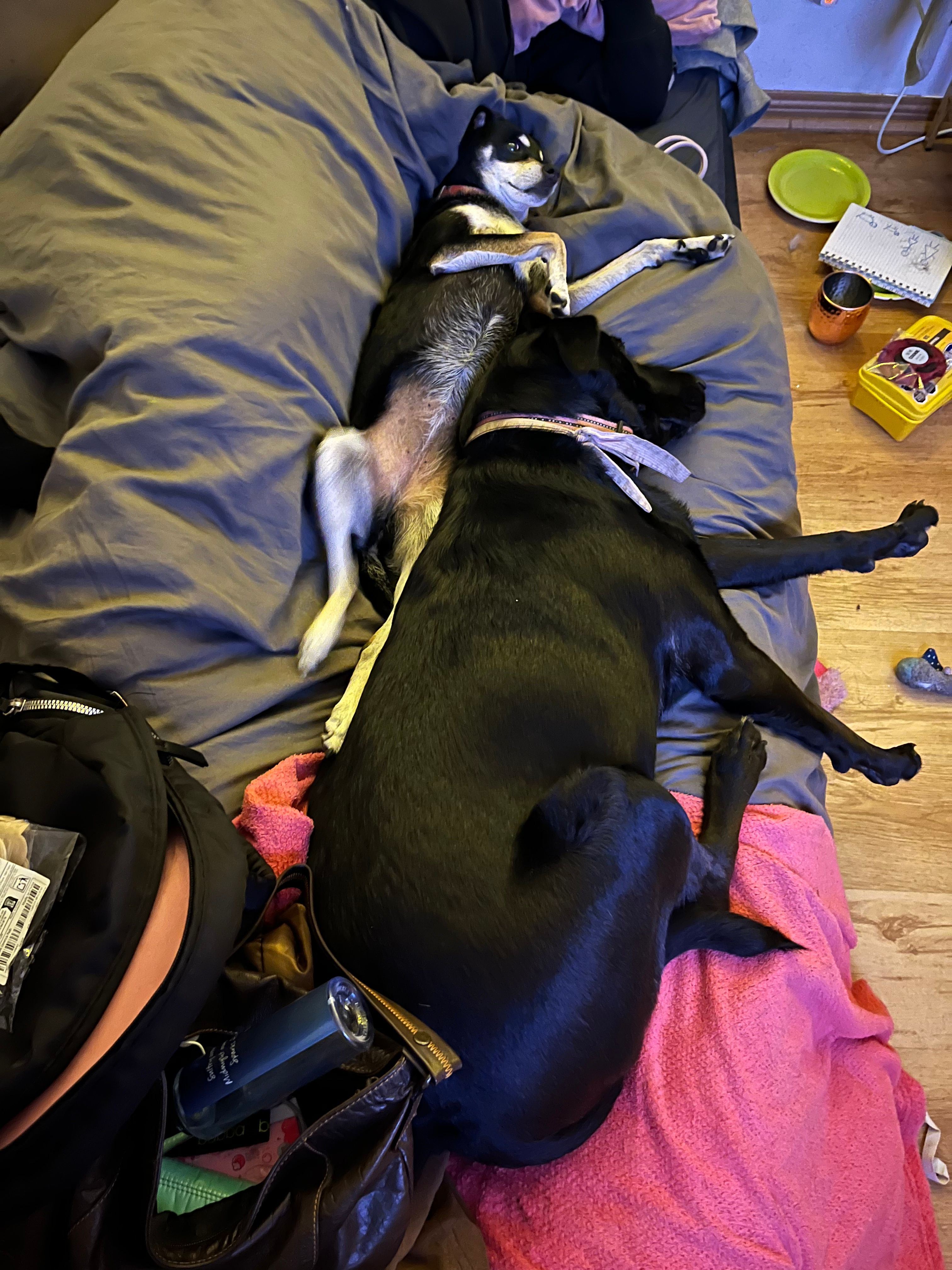 image-6