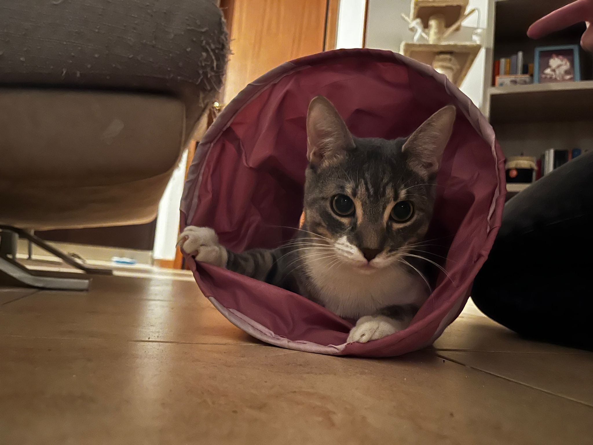 image-7