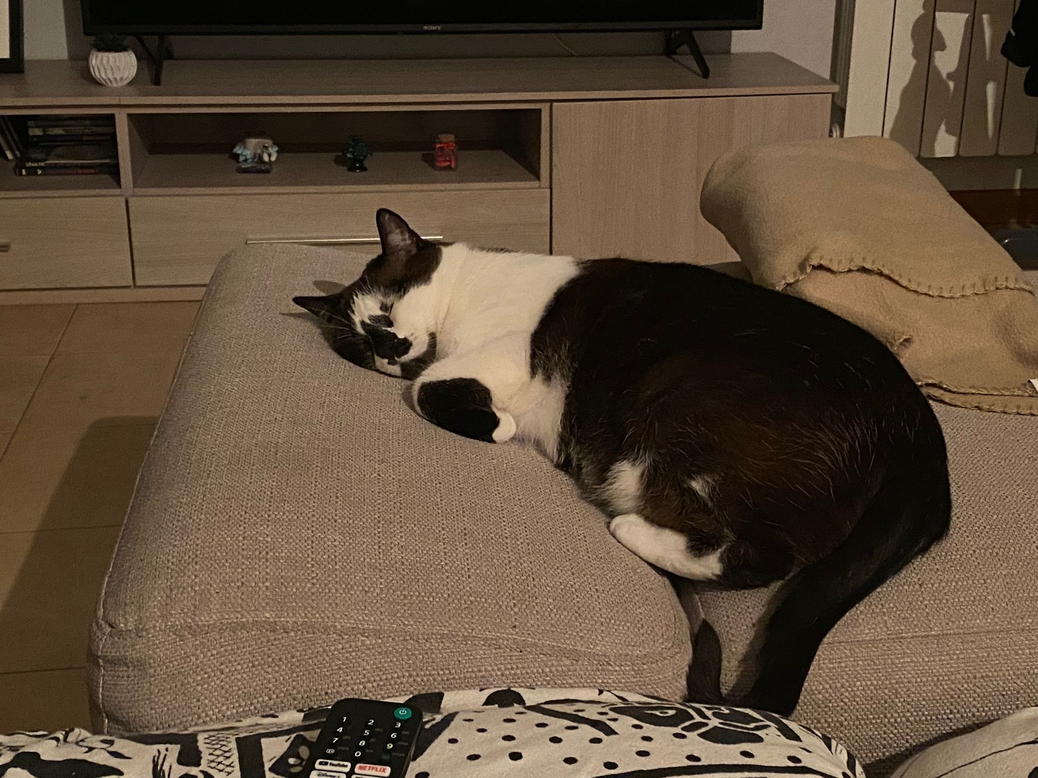 image-6