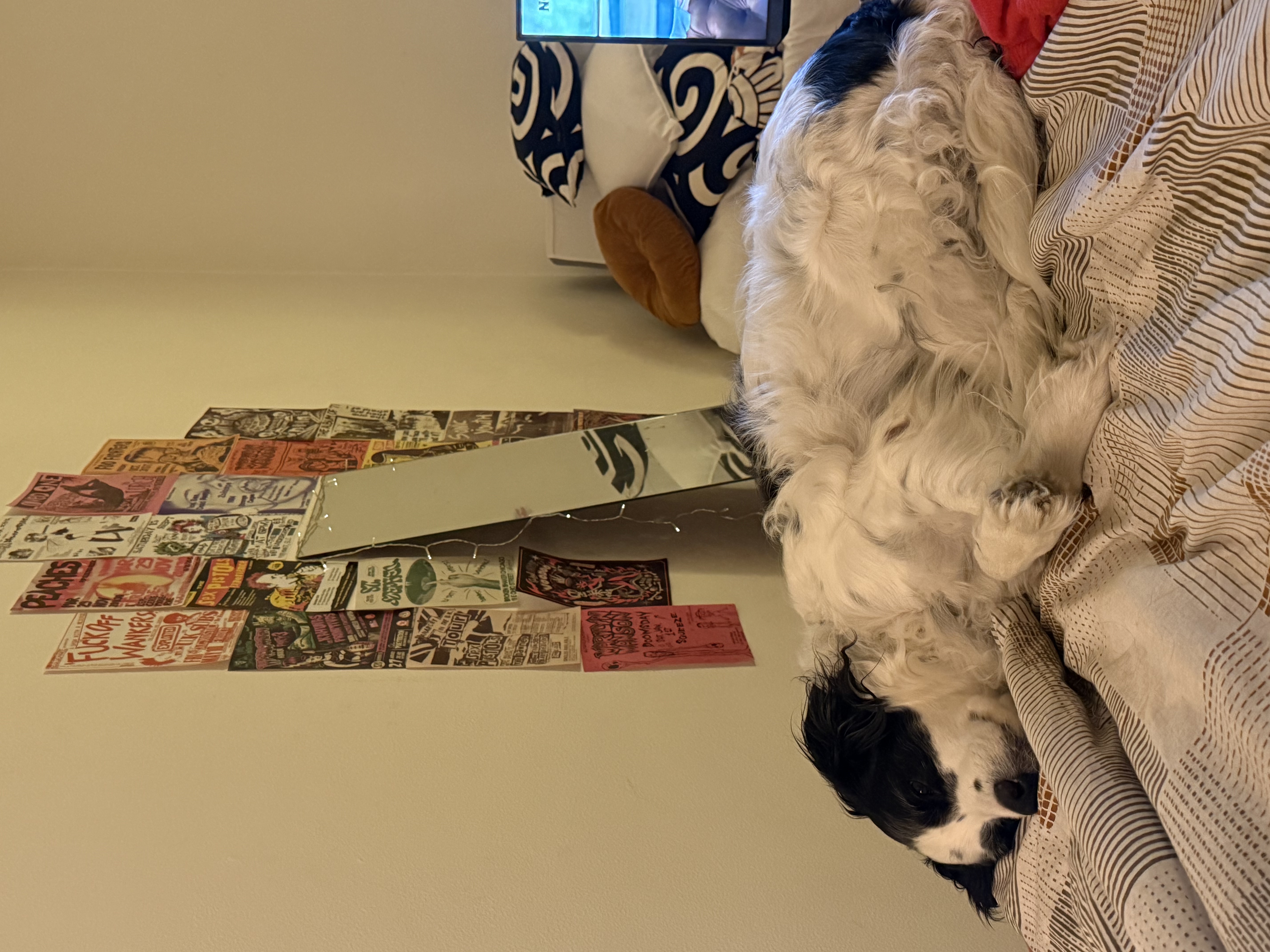 image-16