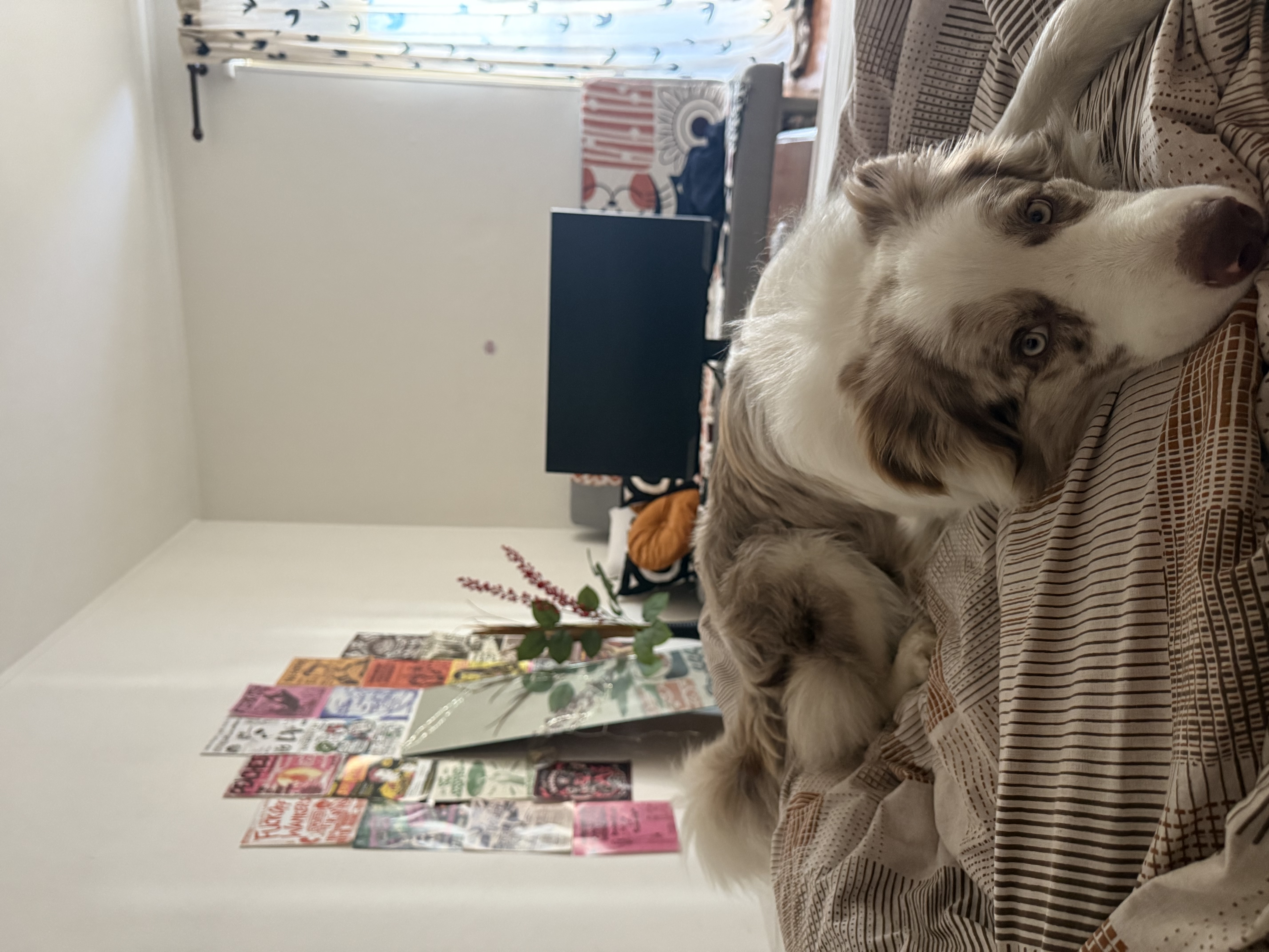 image-7