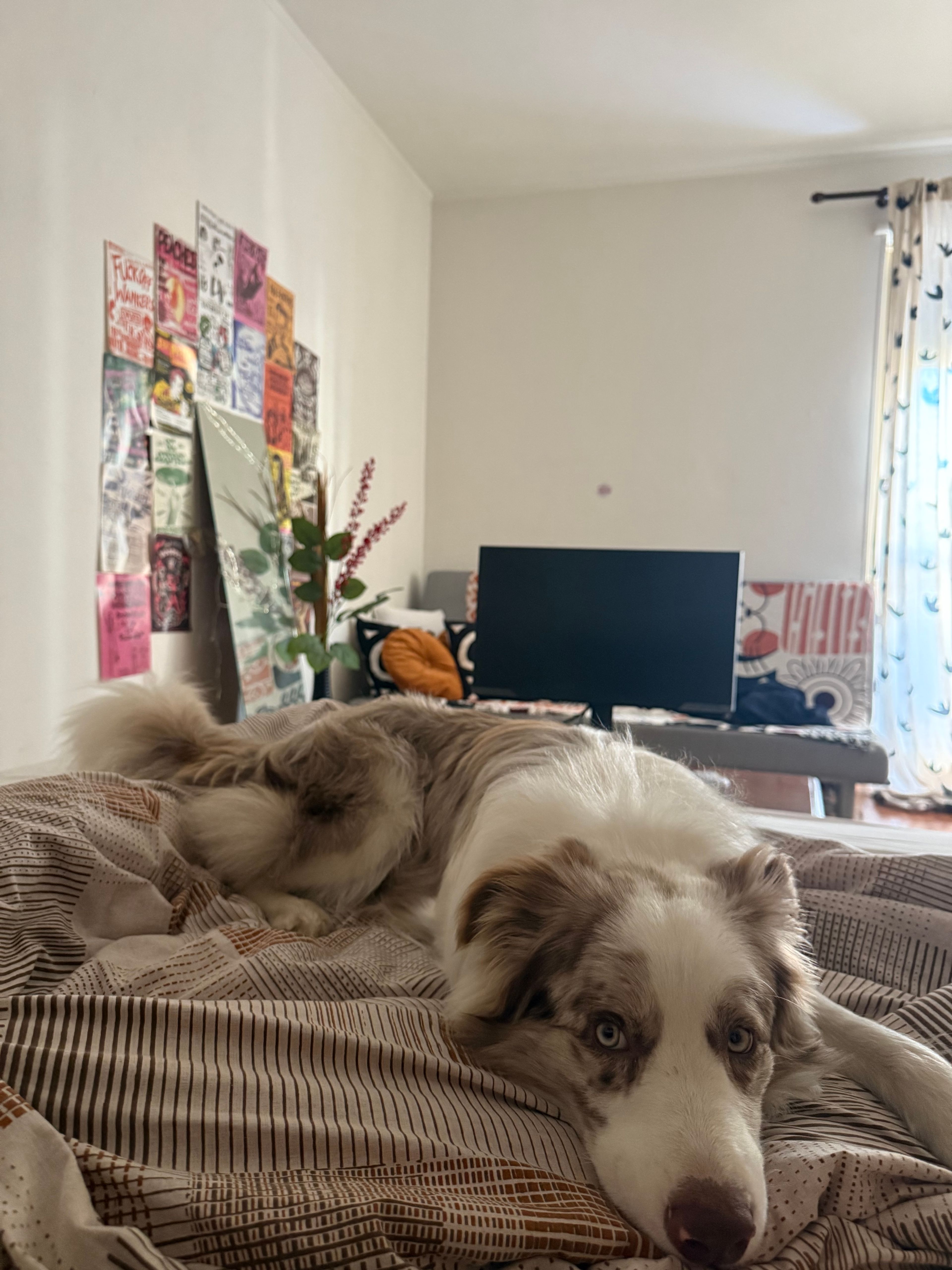 image-7