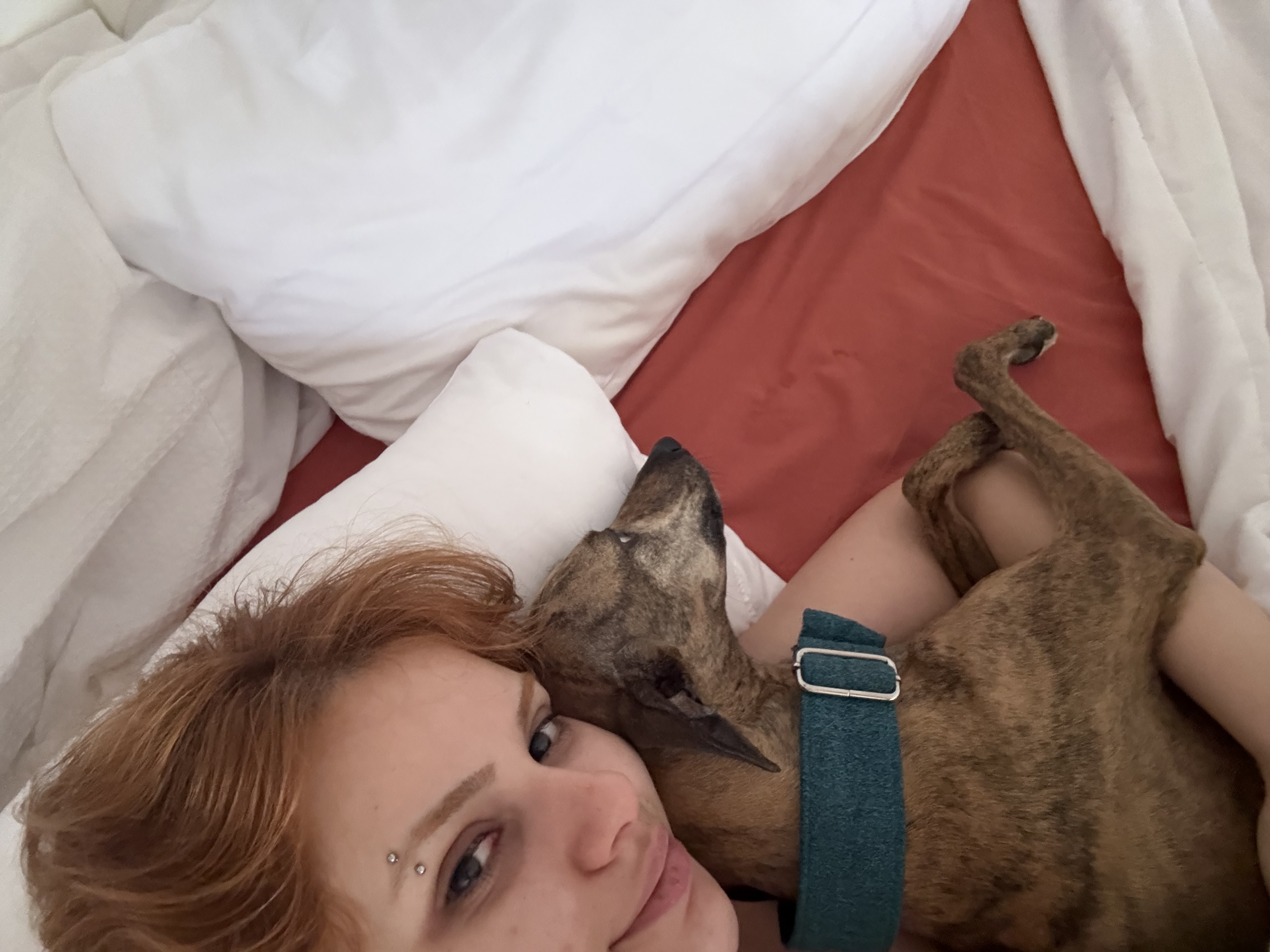 image-8