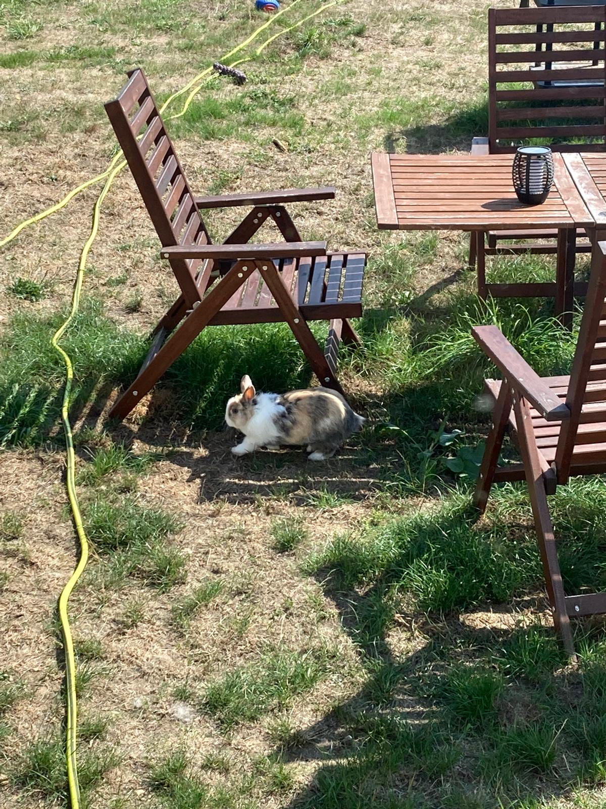 image-7