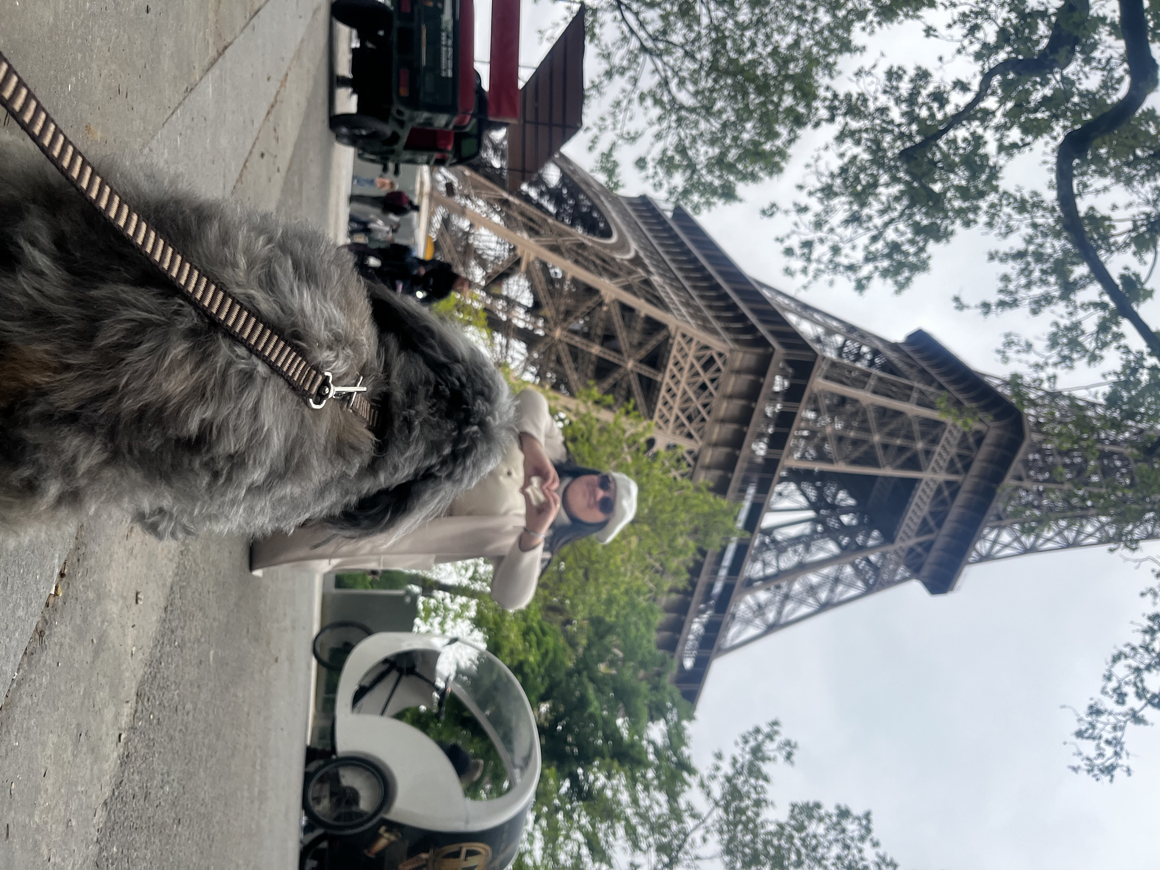 image-15