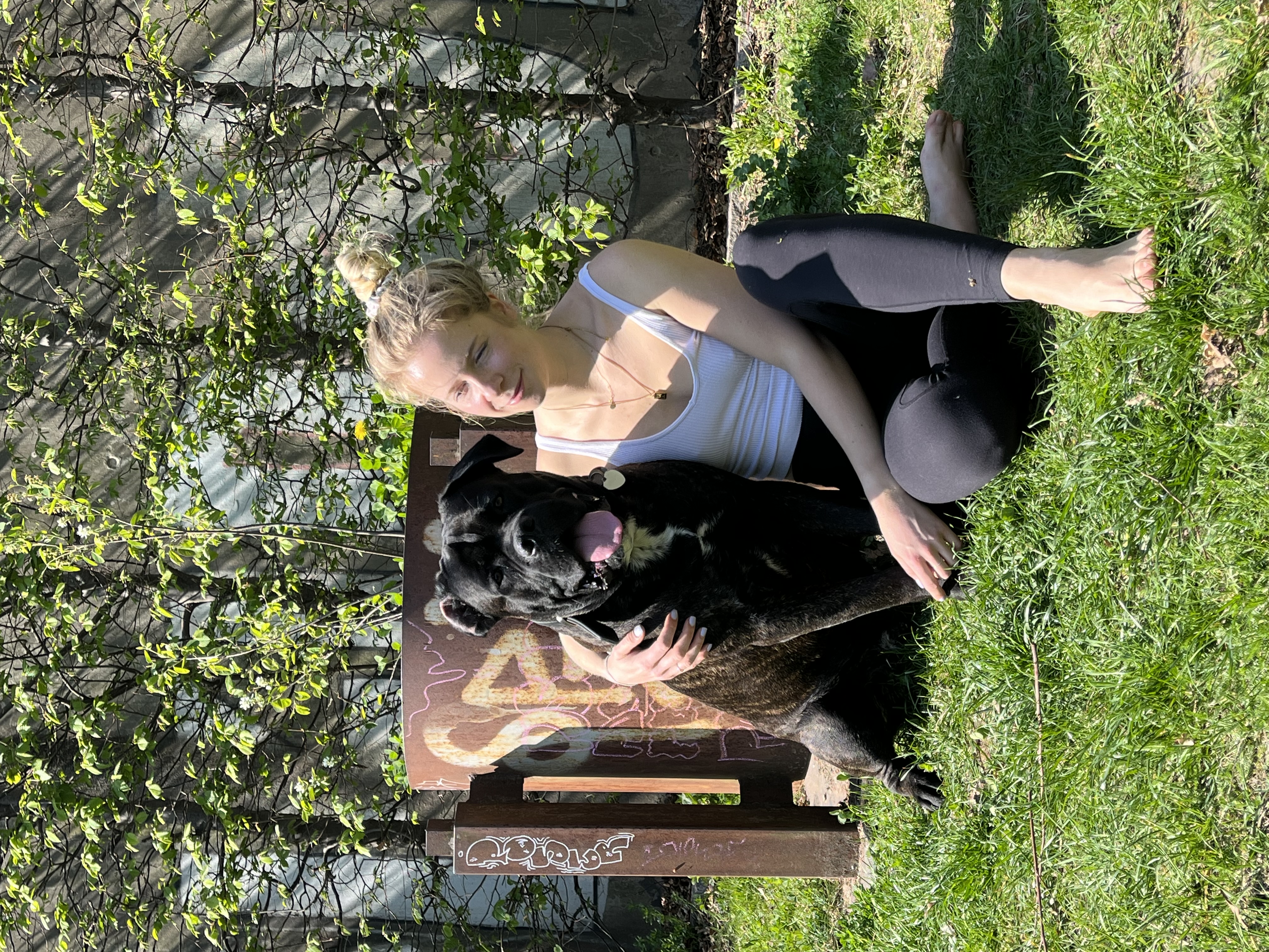 image-4