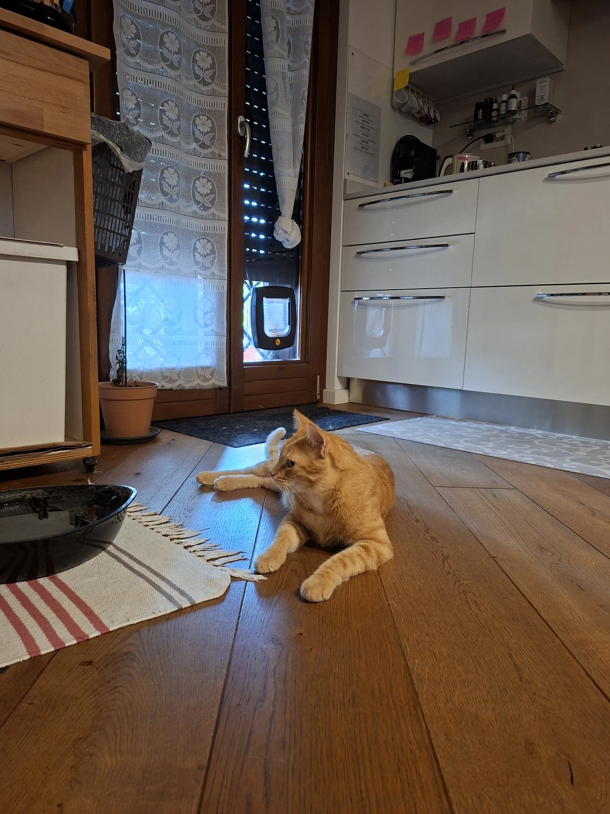 image-9