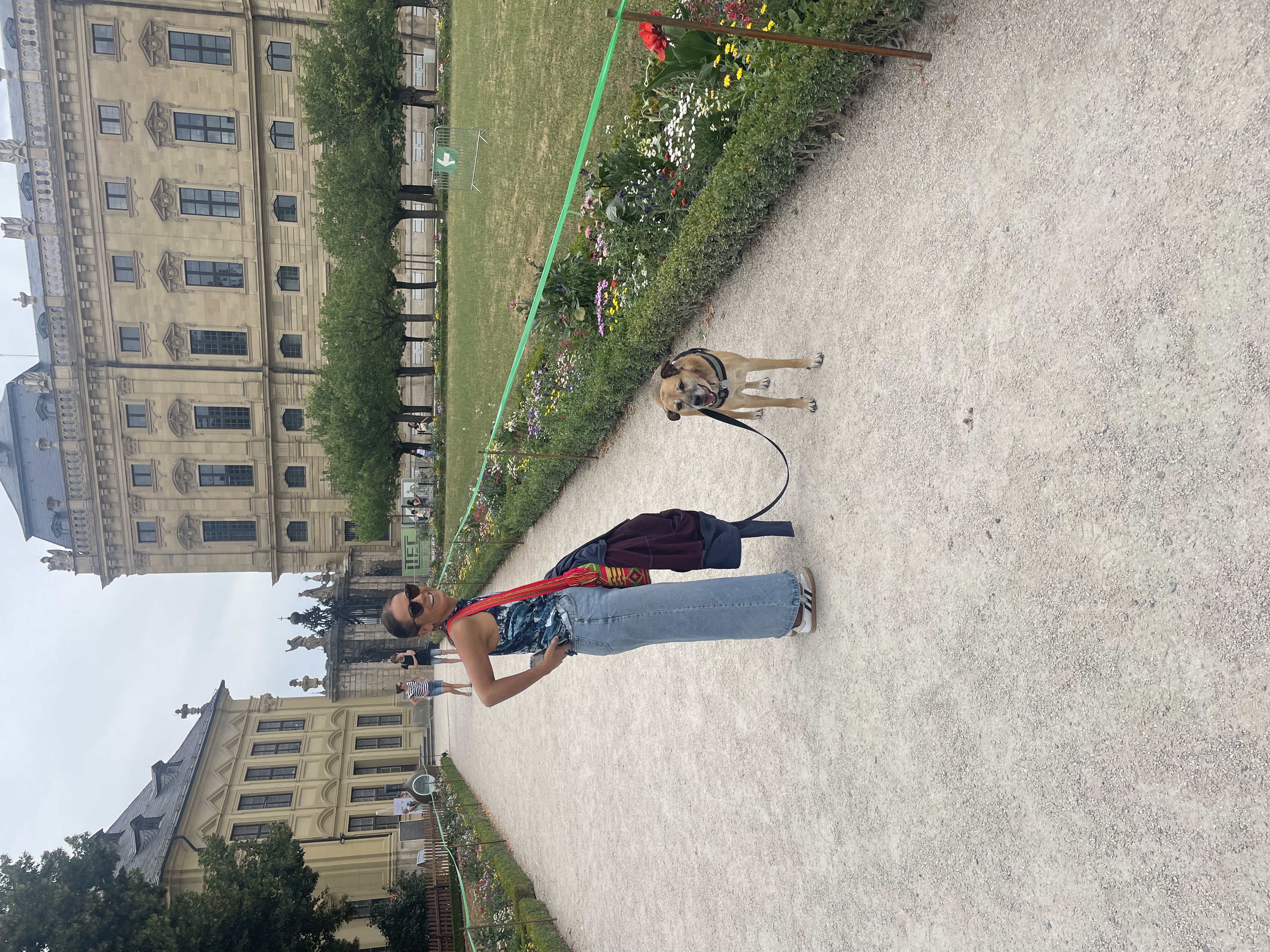 image-7