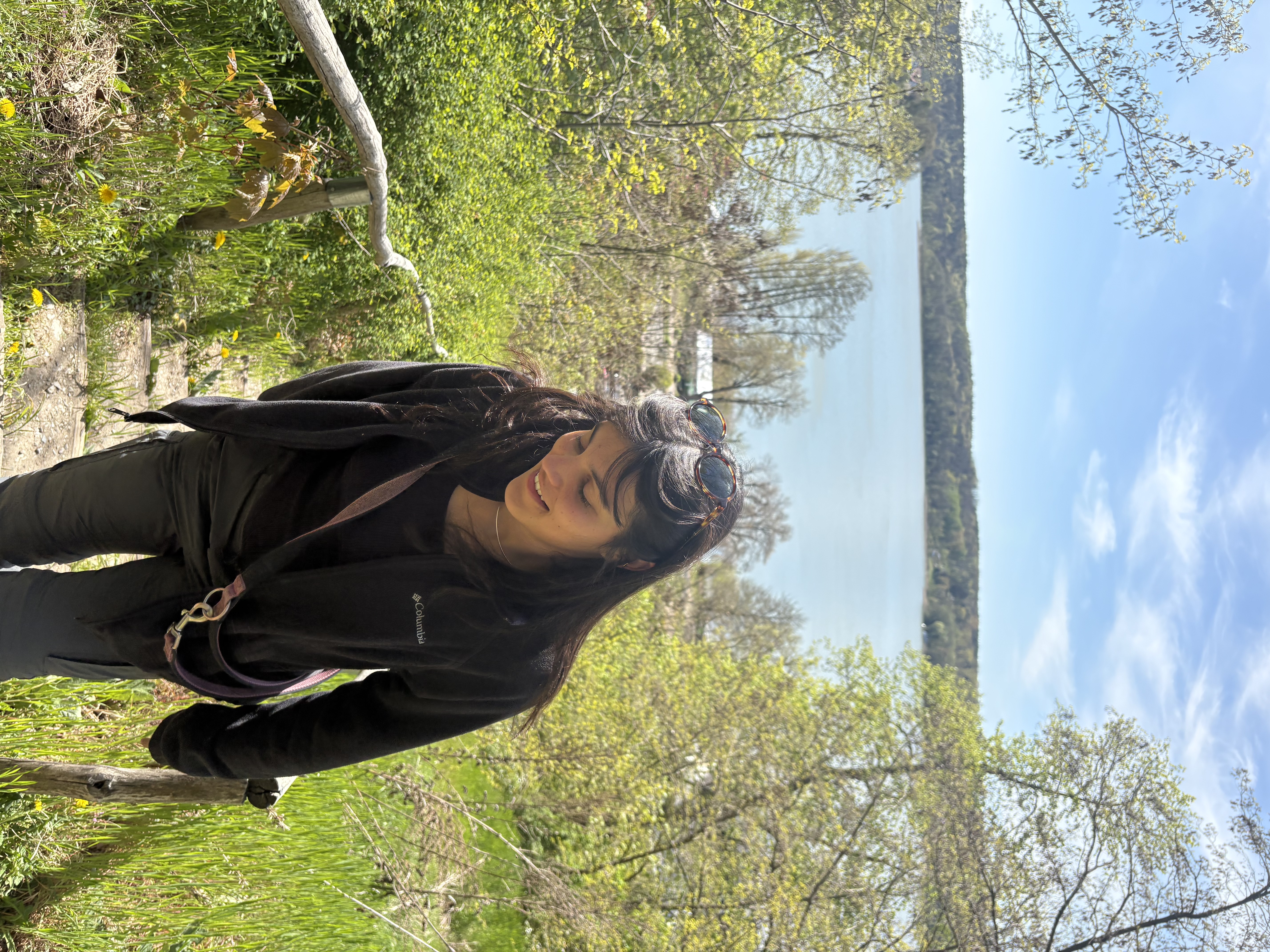 image-2