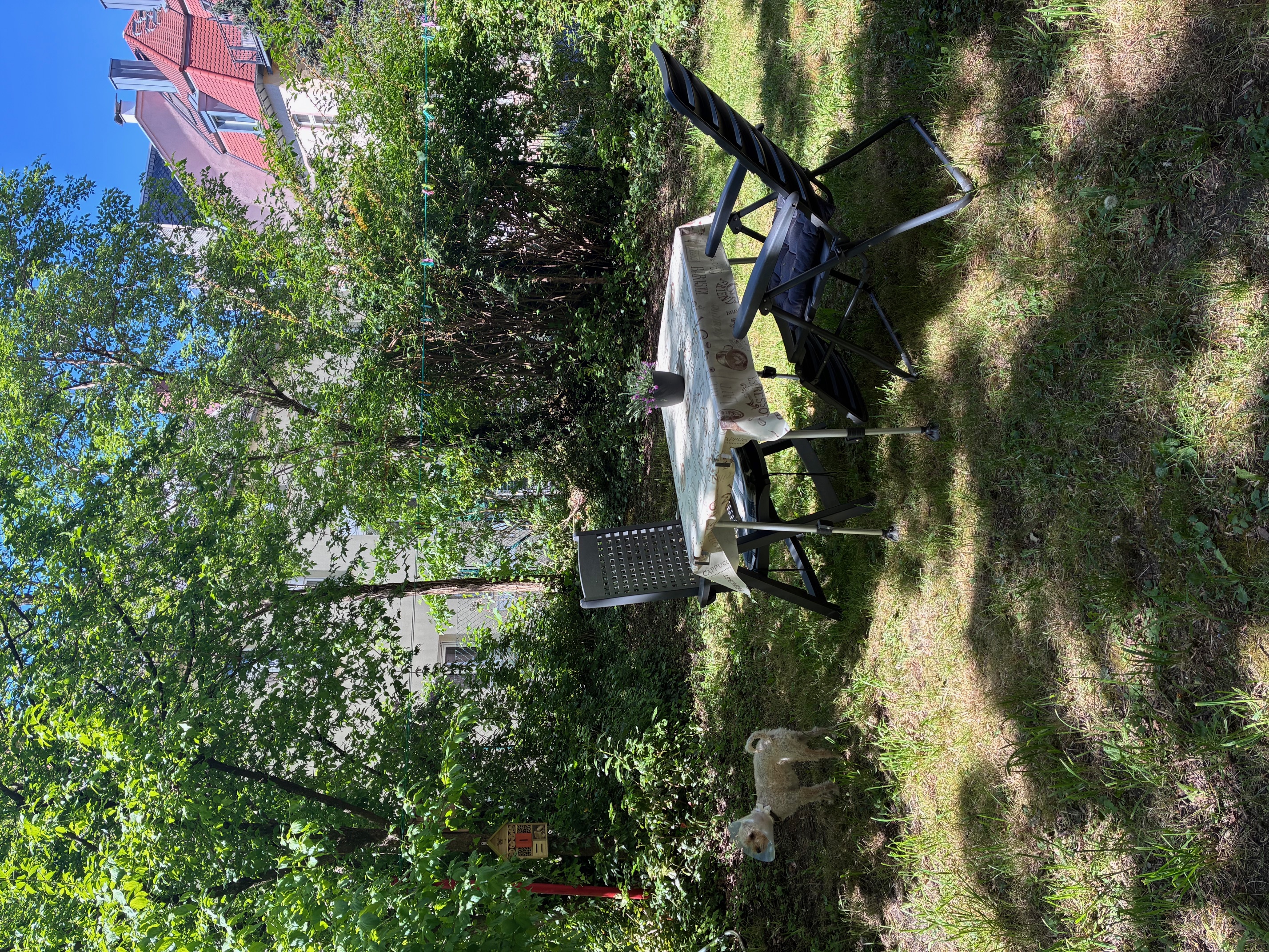image-24