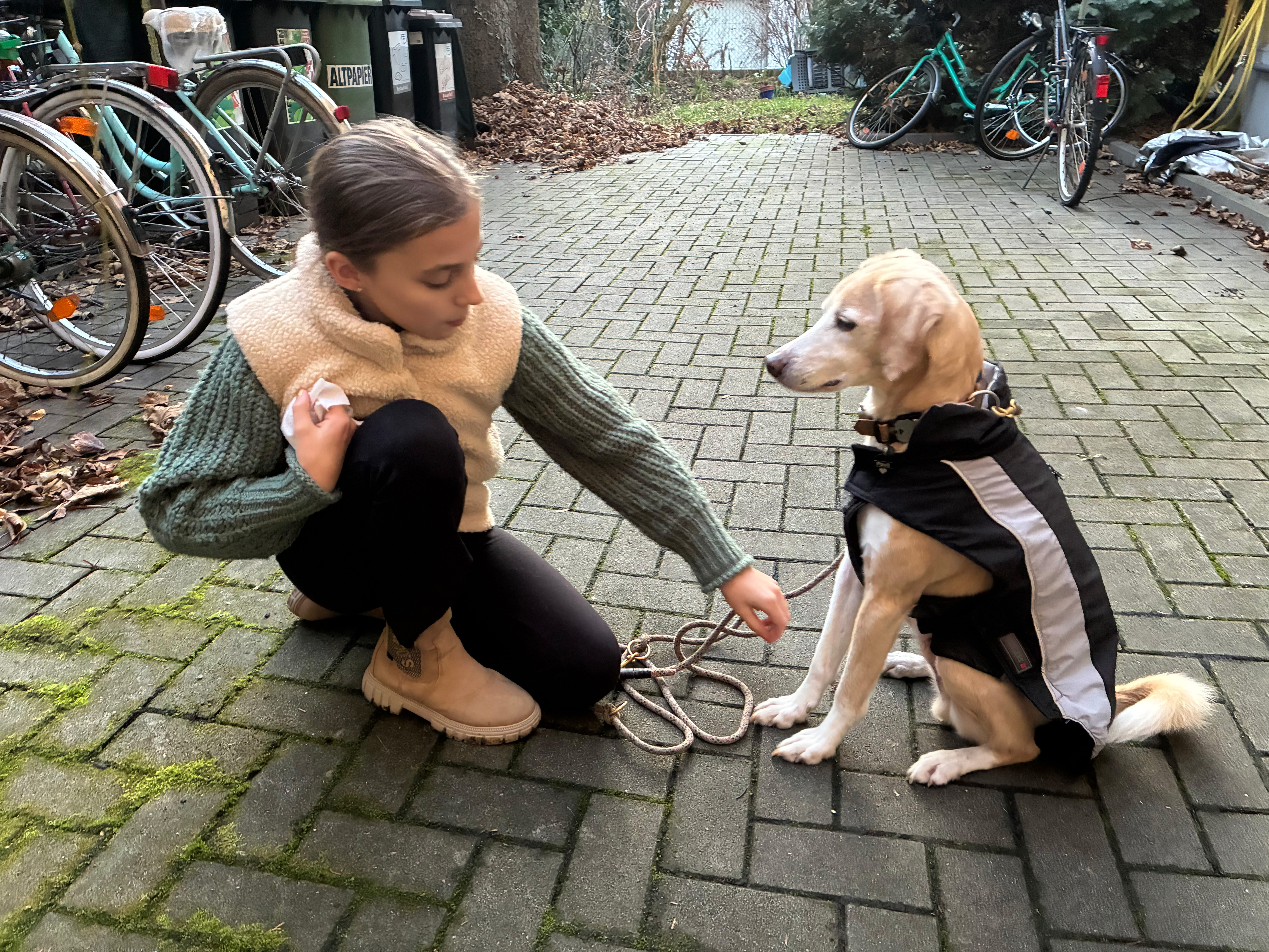 image-18