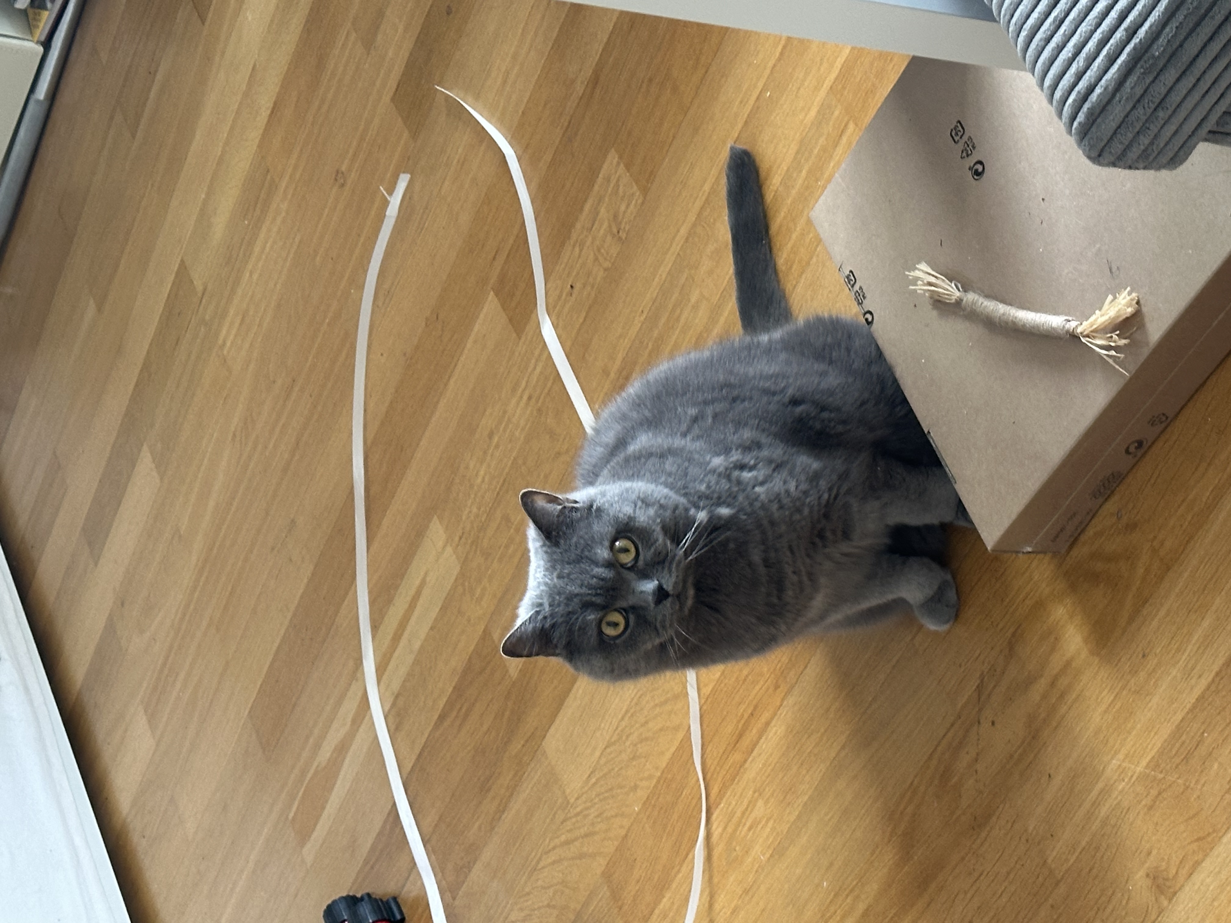image-6