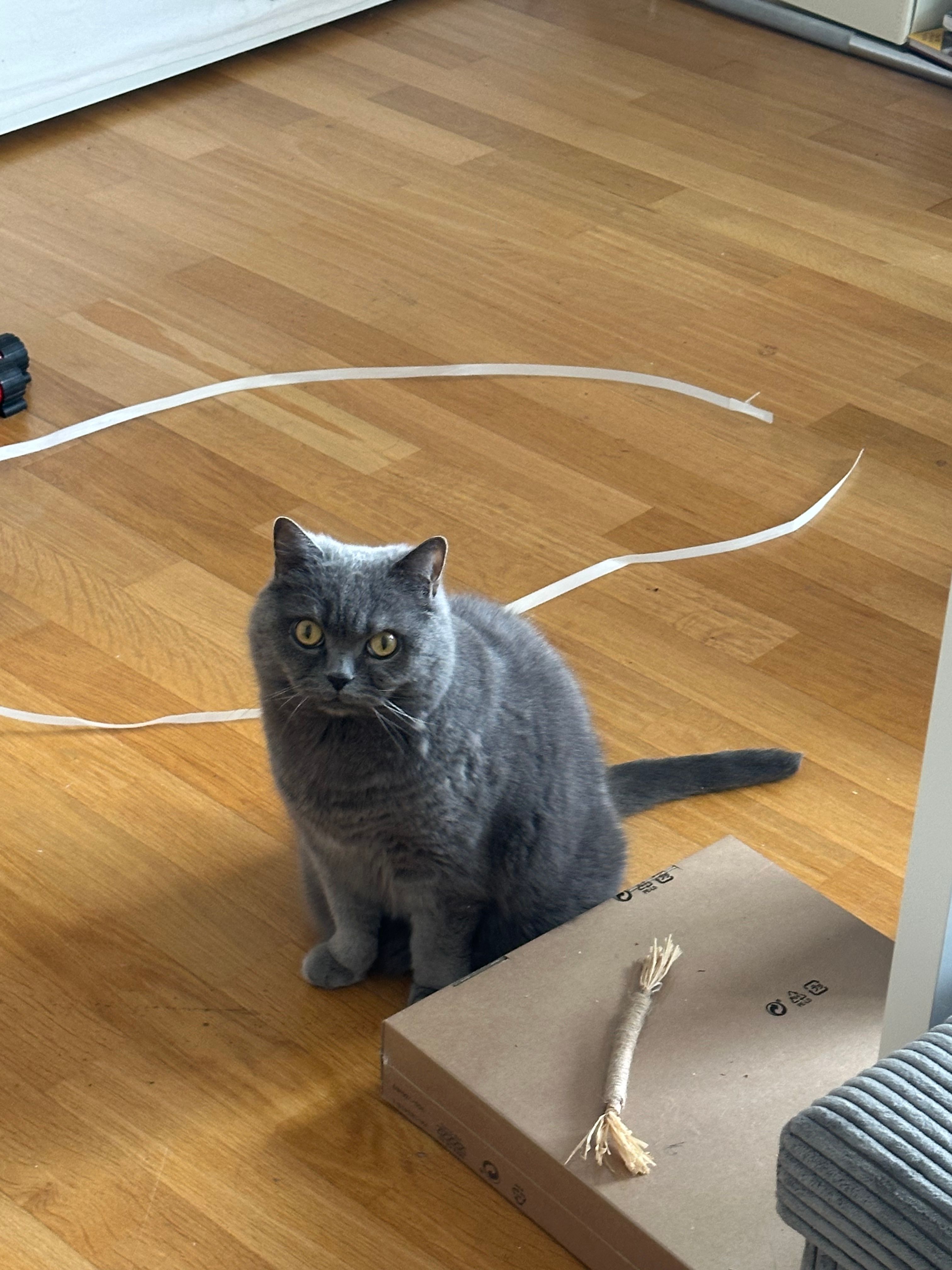 image-6