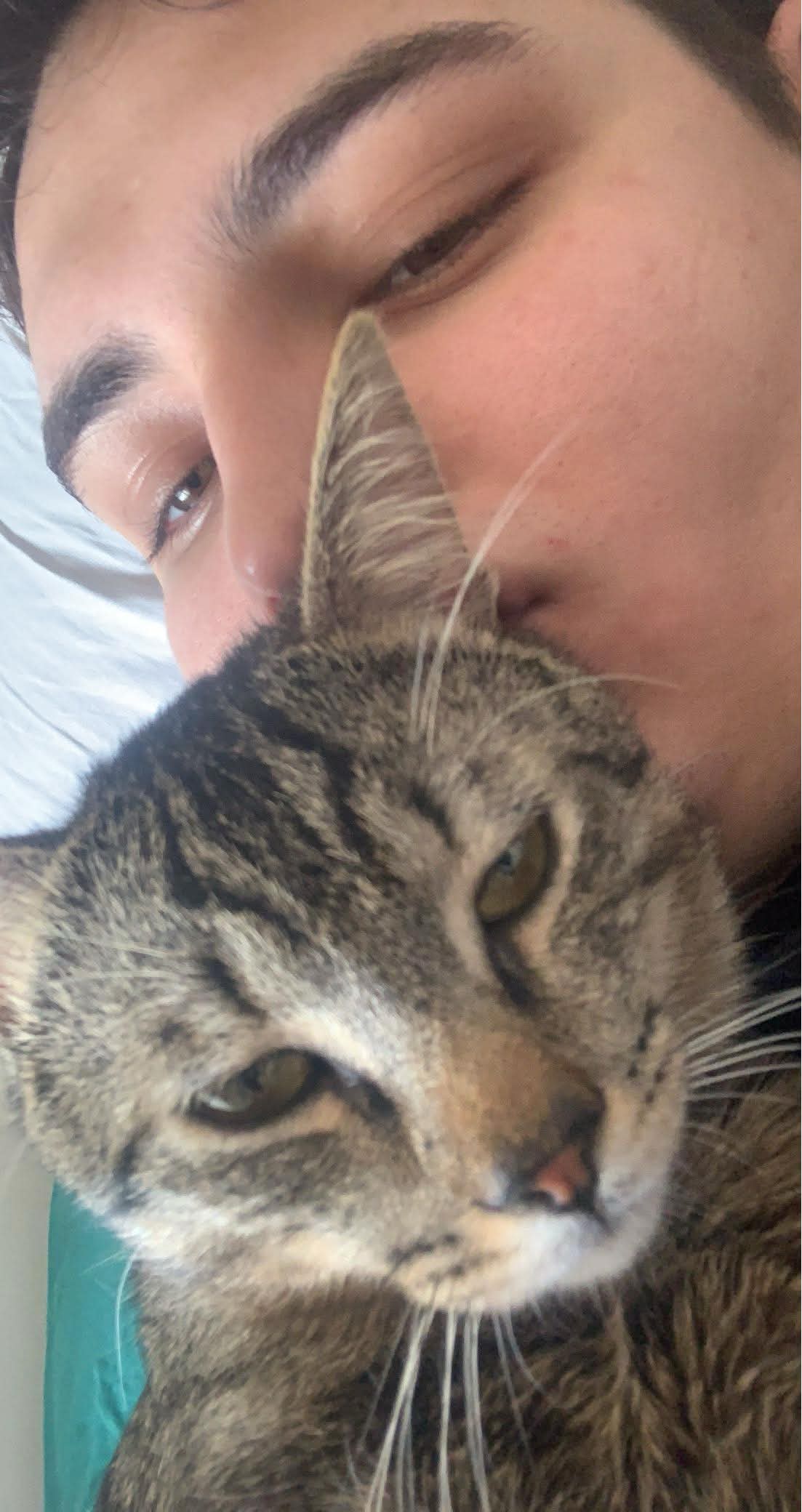 image-6