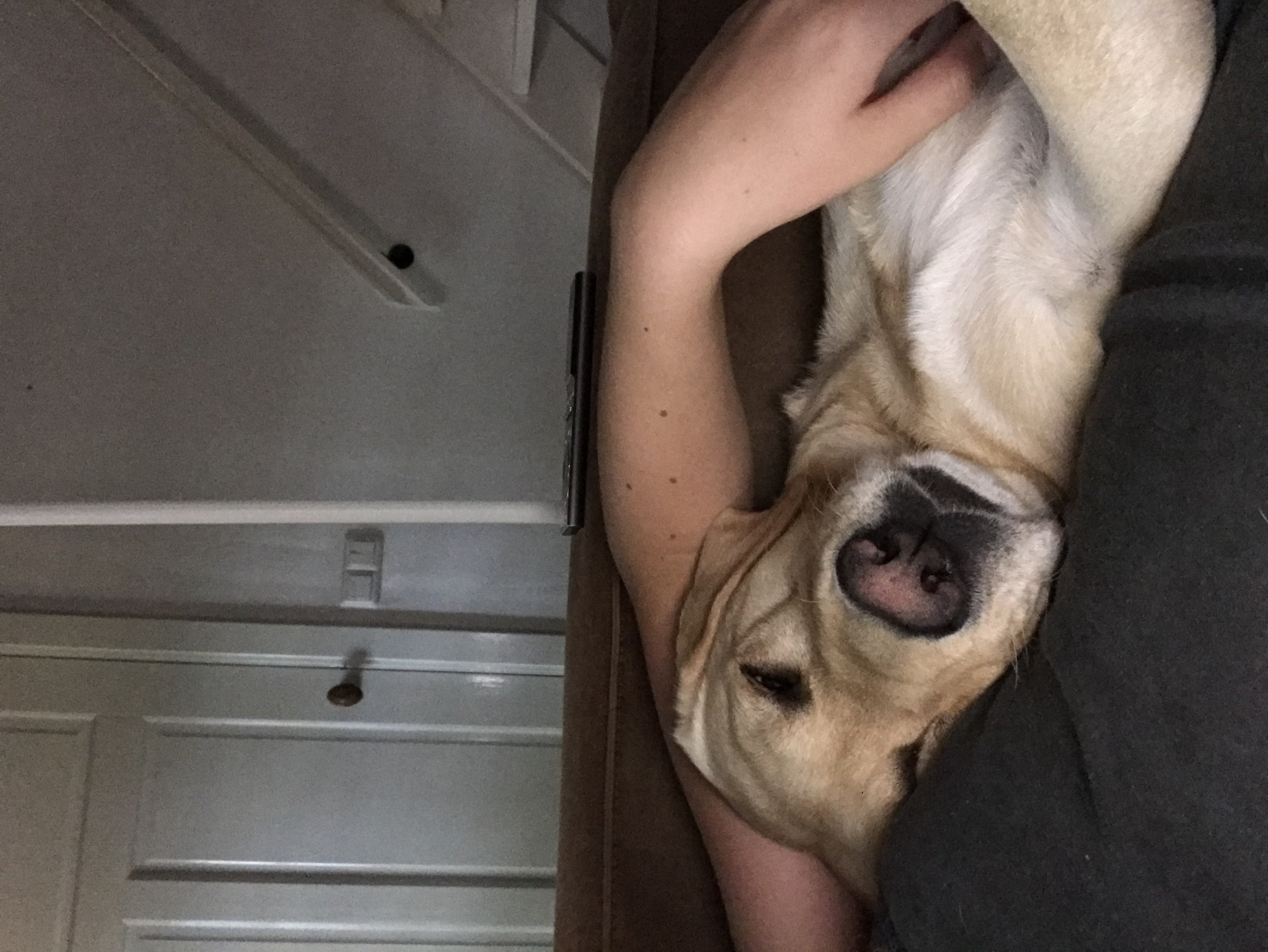 image-6