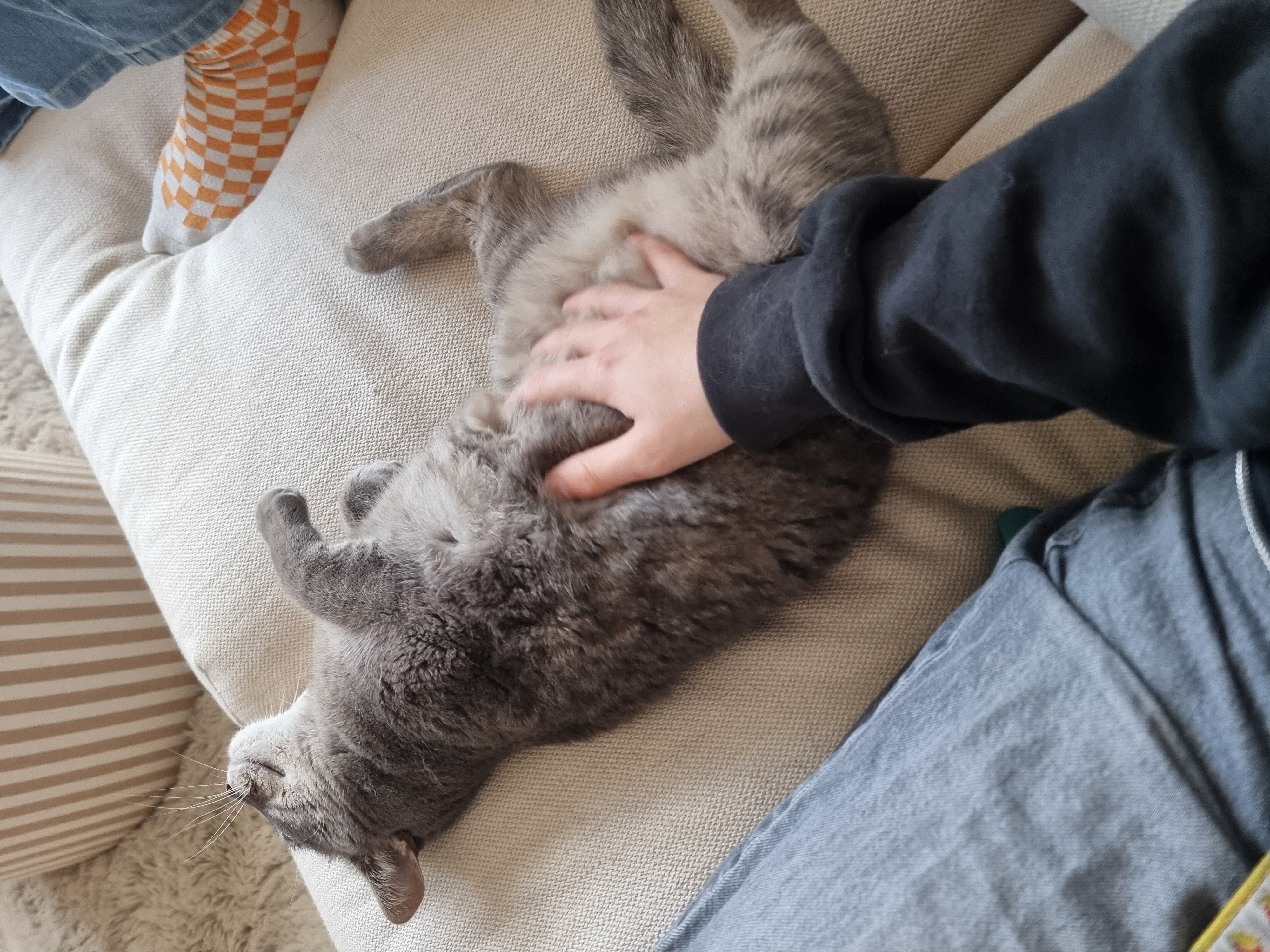 image-9