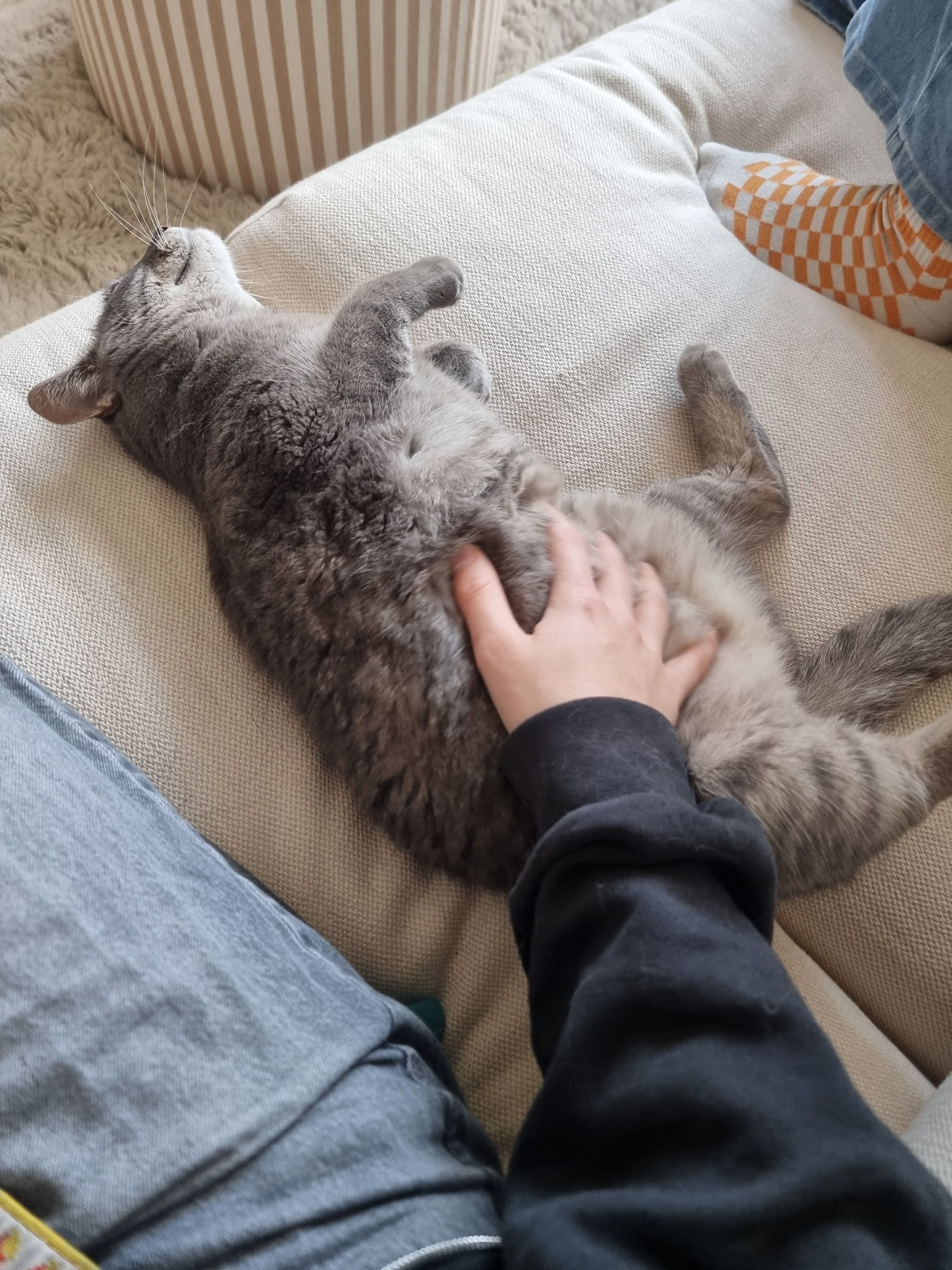 image-9