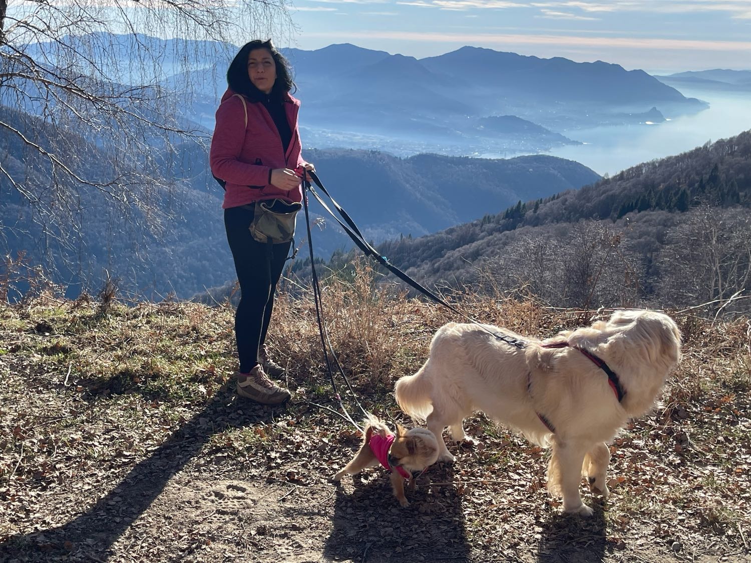 image-0