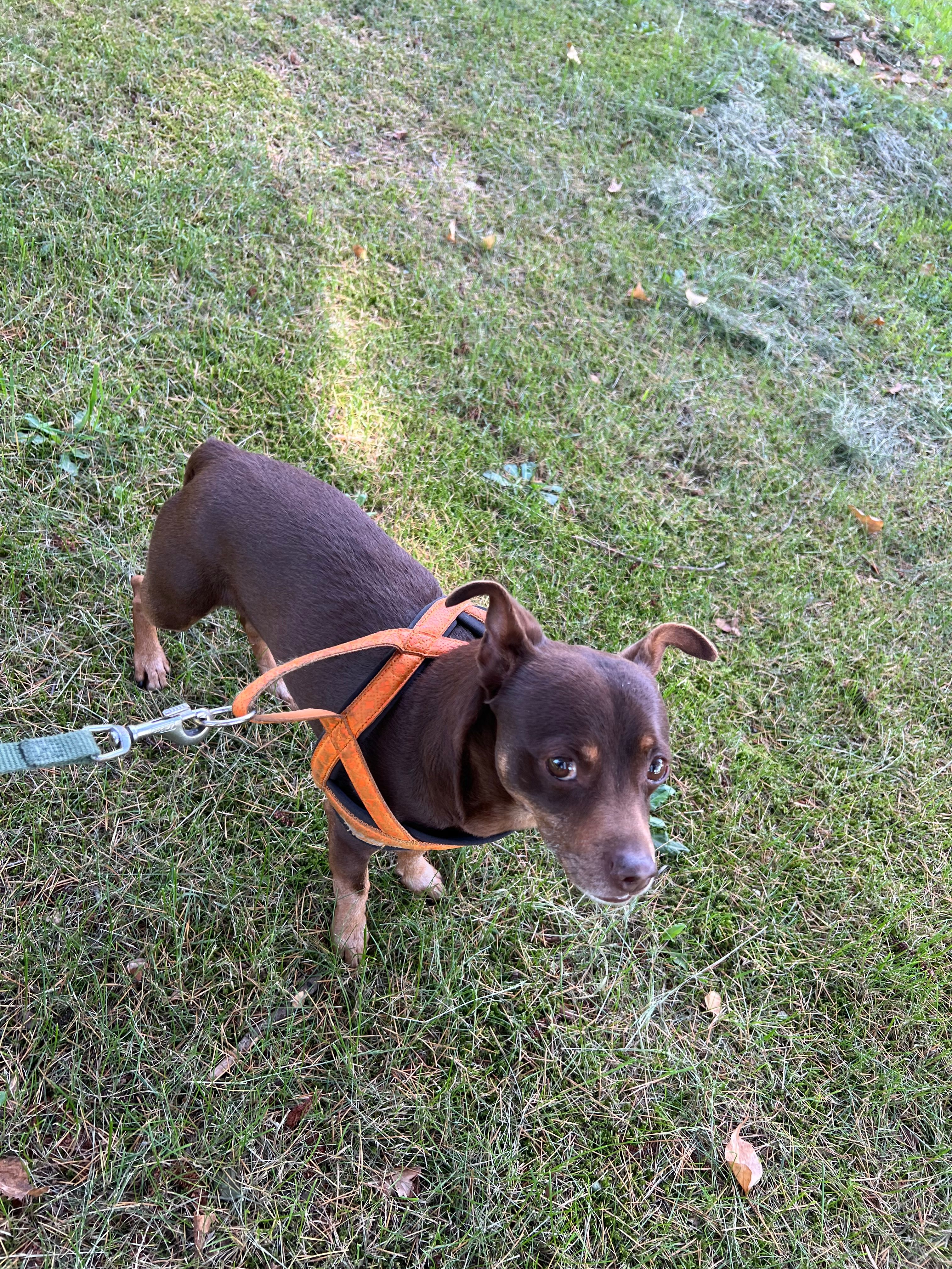 image-11