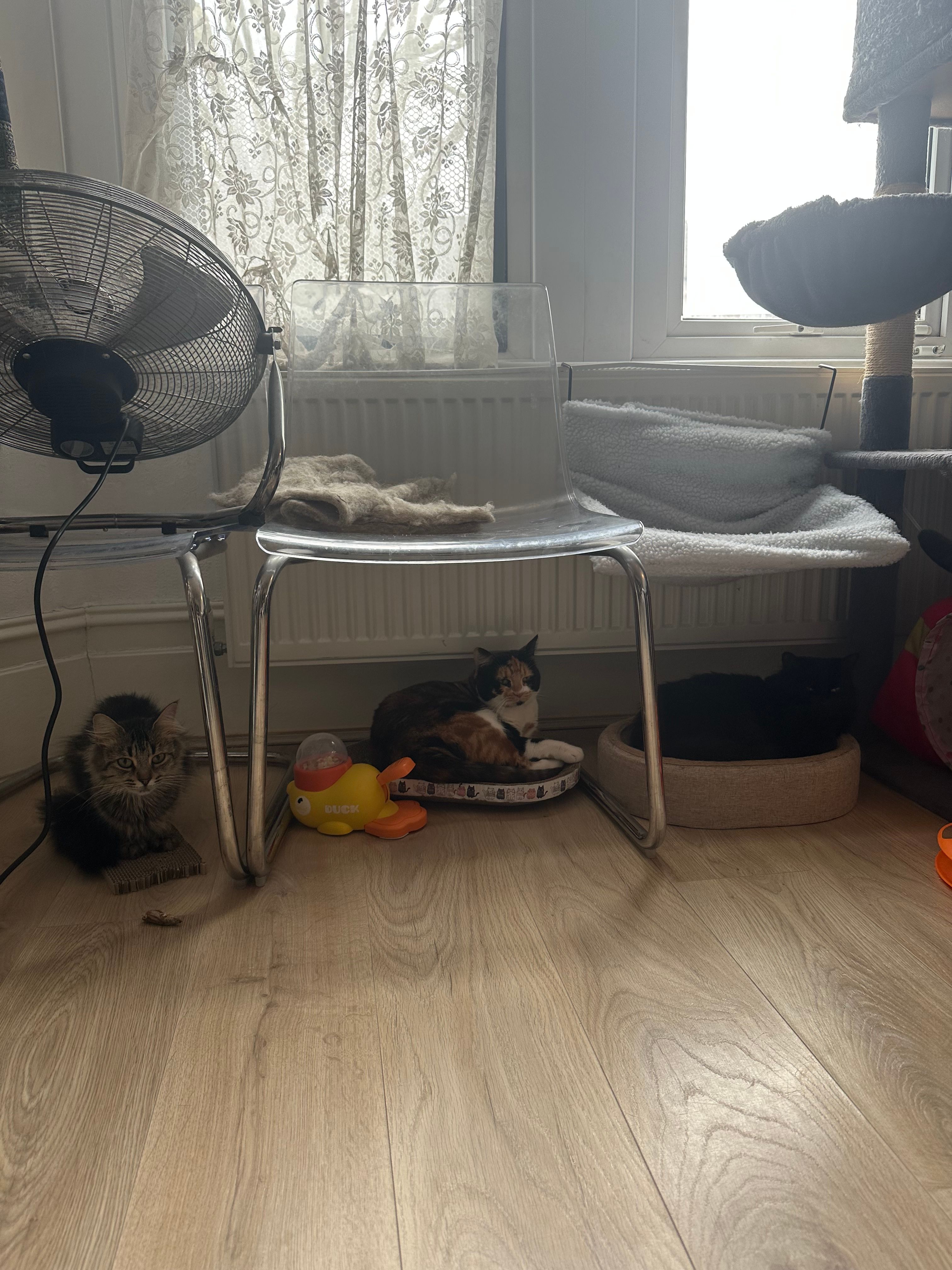 image-17