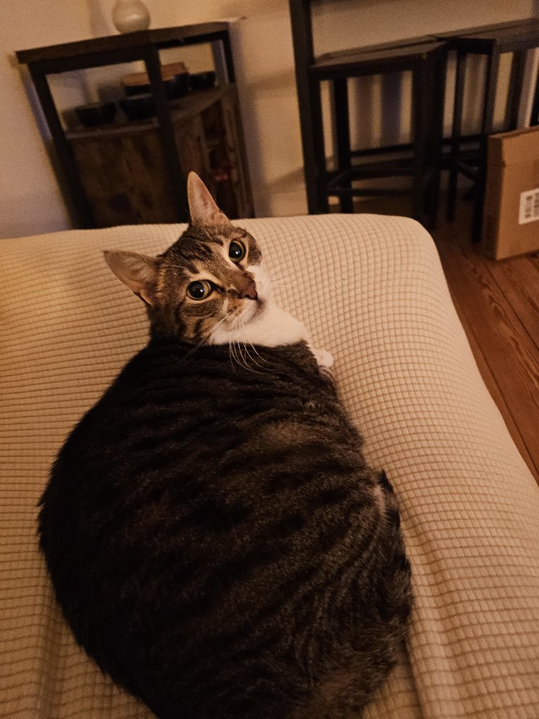 Yuki