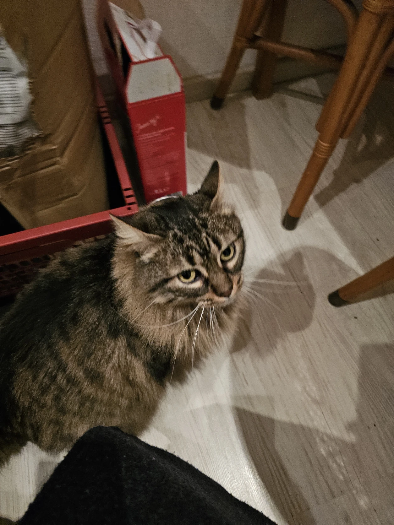 image-9