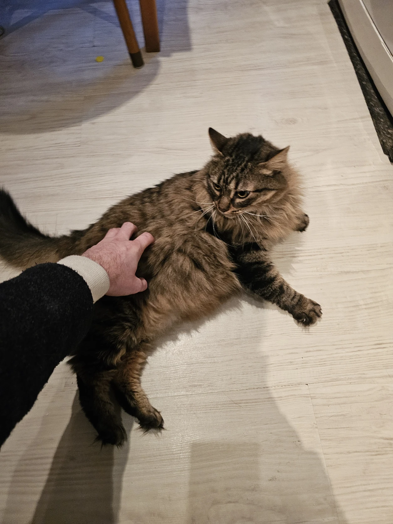 image-11