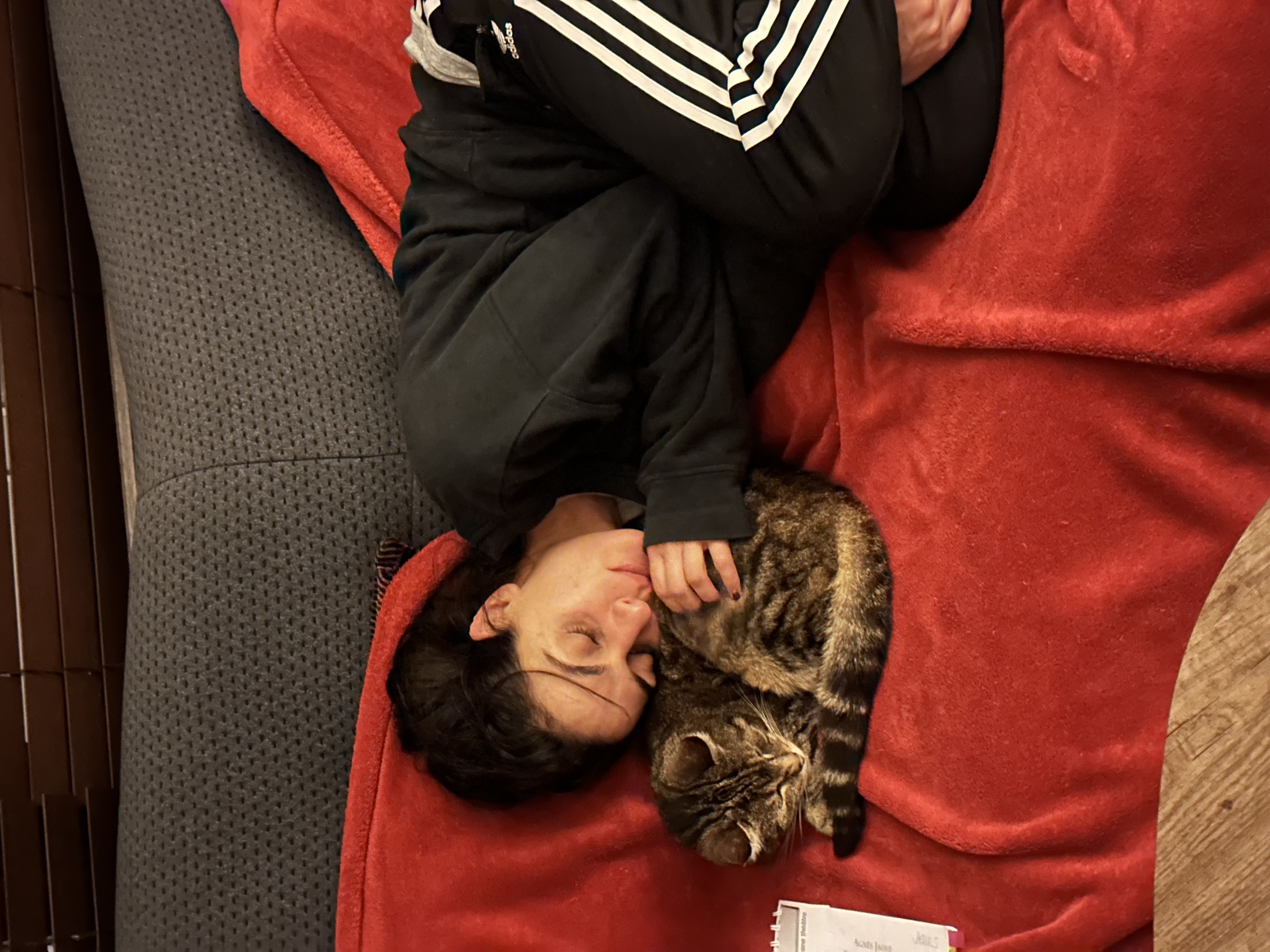 image-6