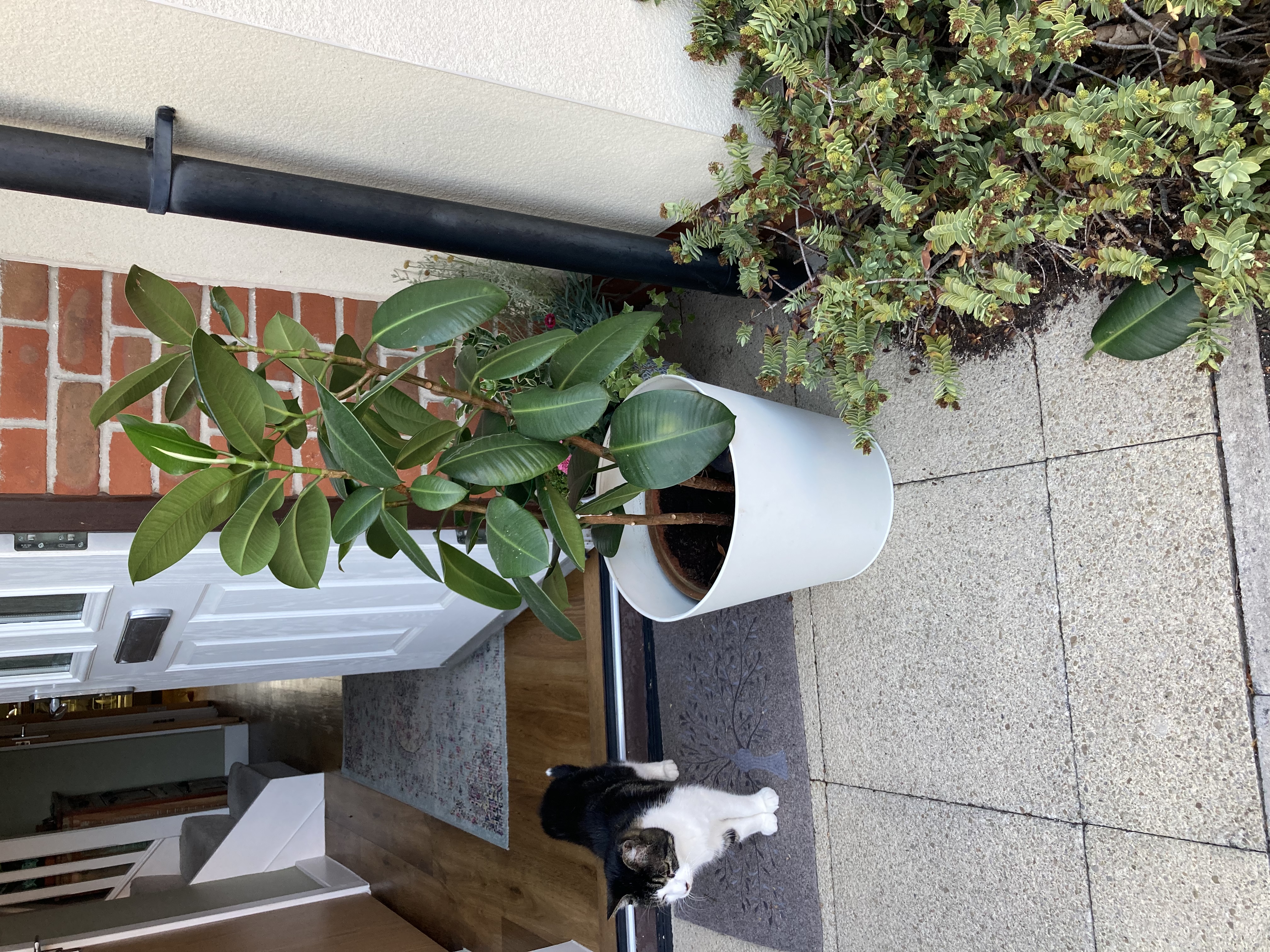 image-6