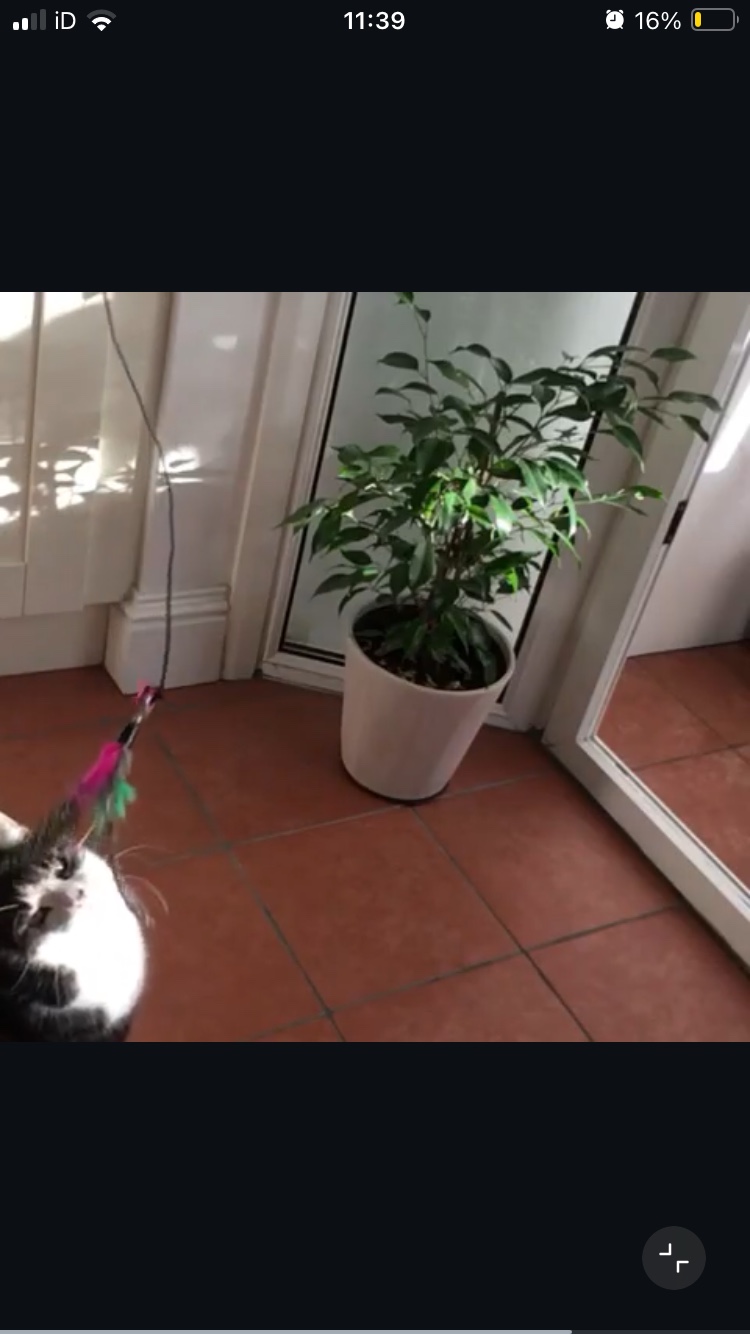 image-7