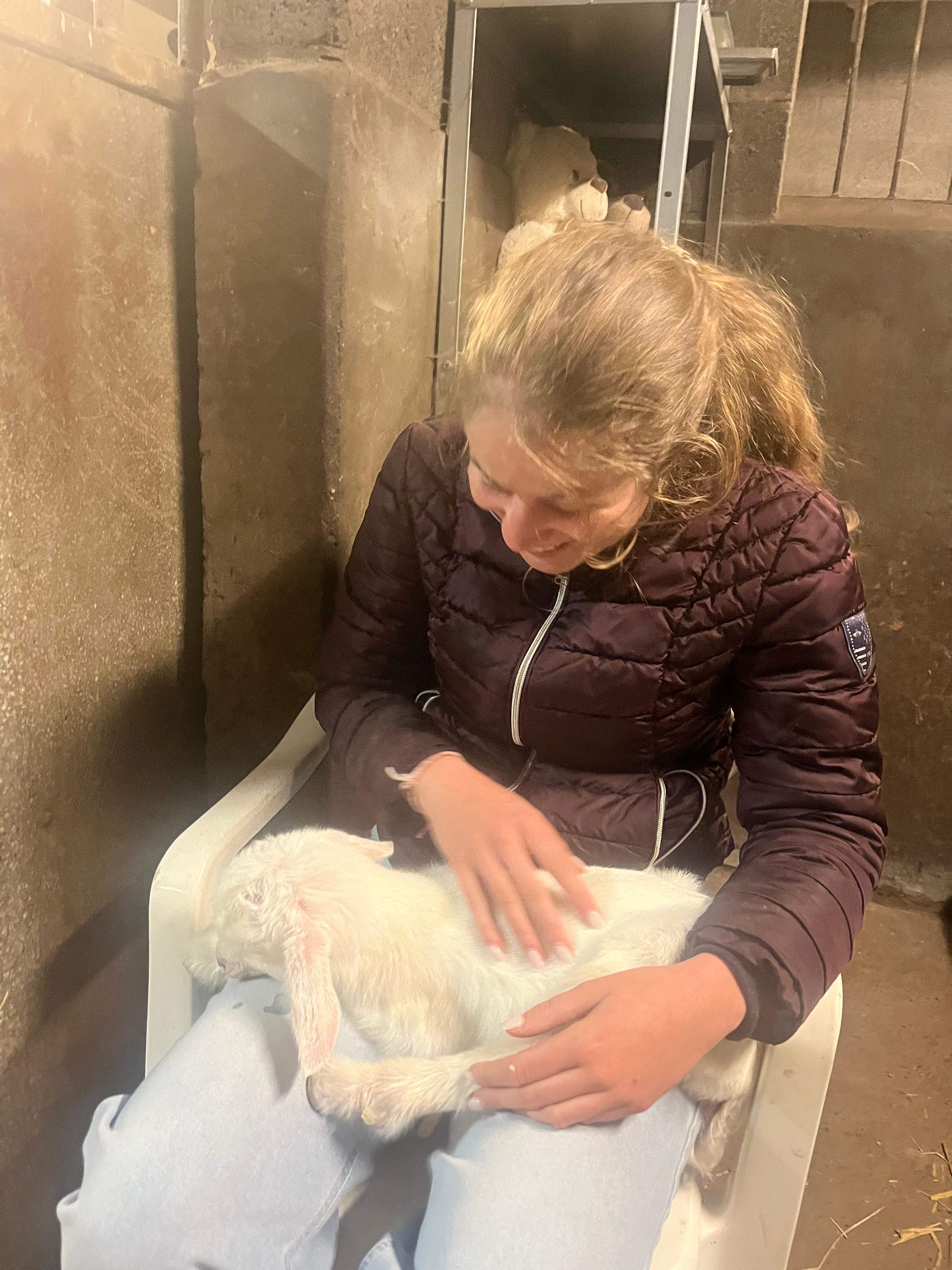 image-3