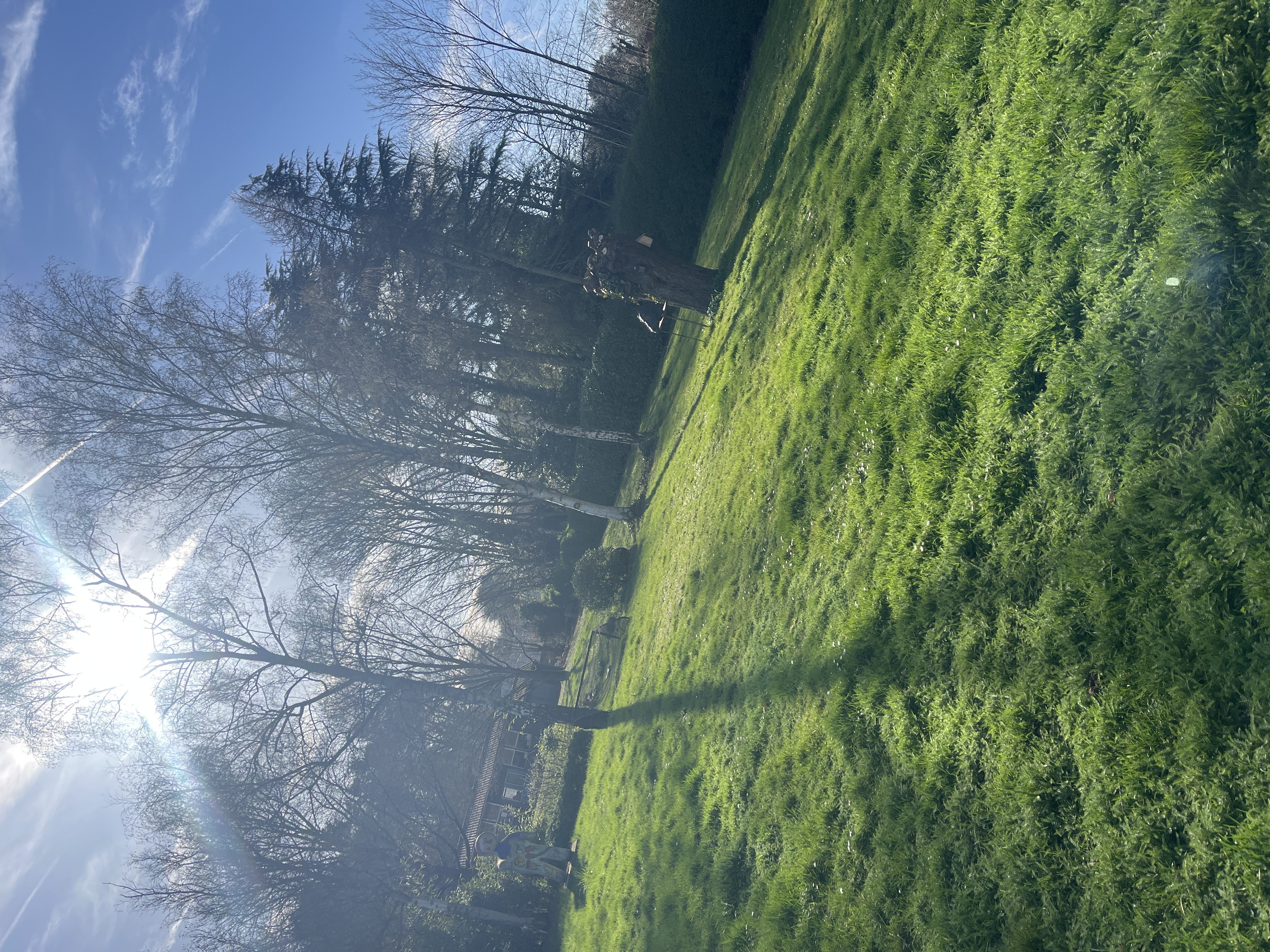 image-12