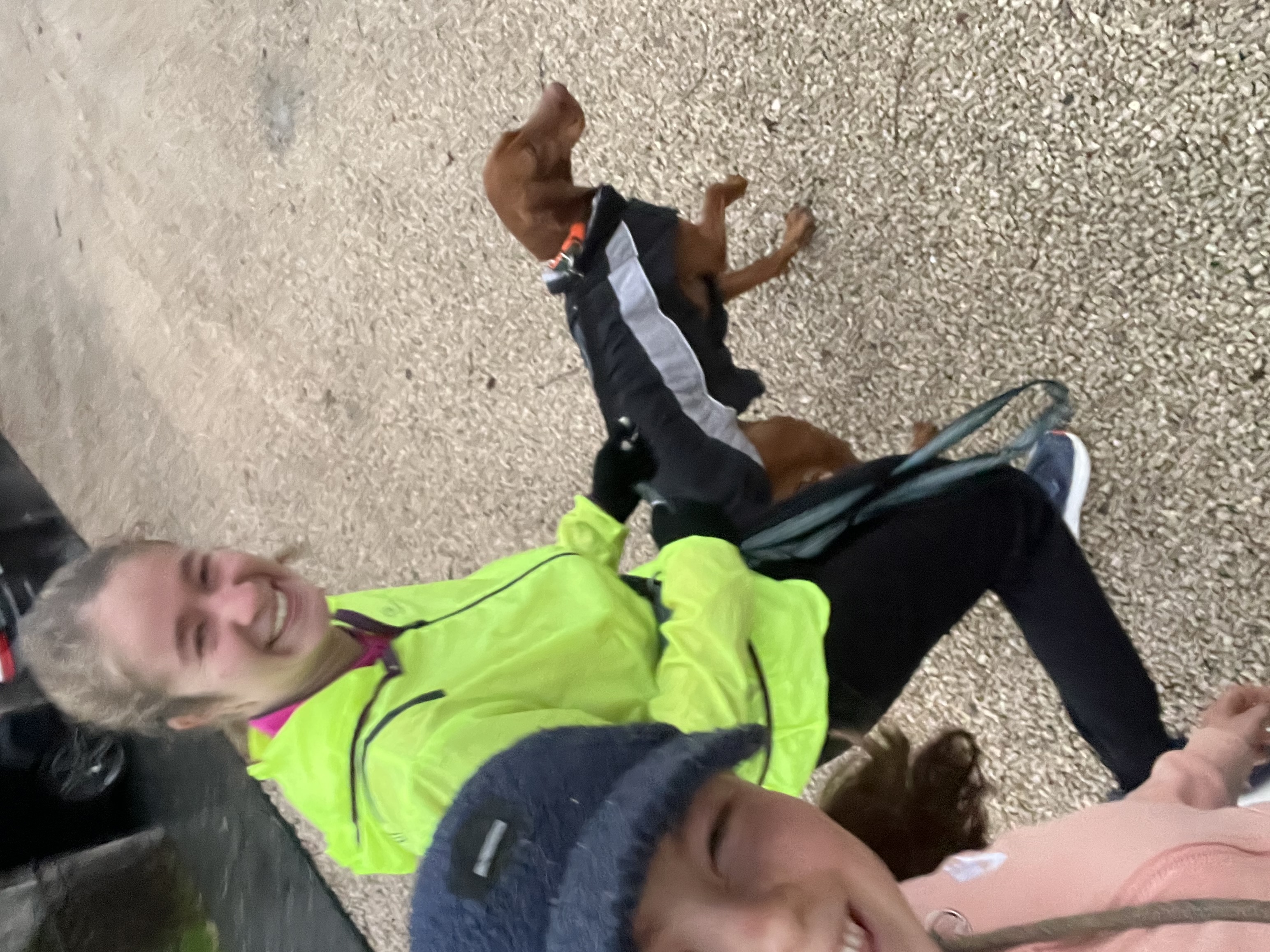 image-11