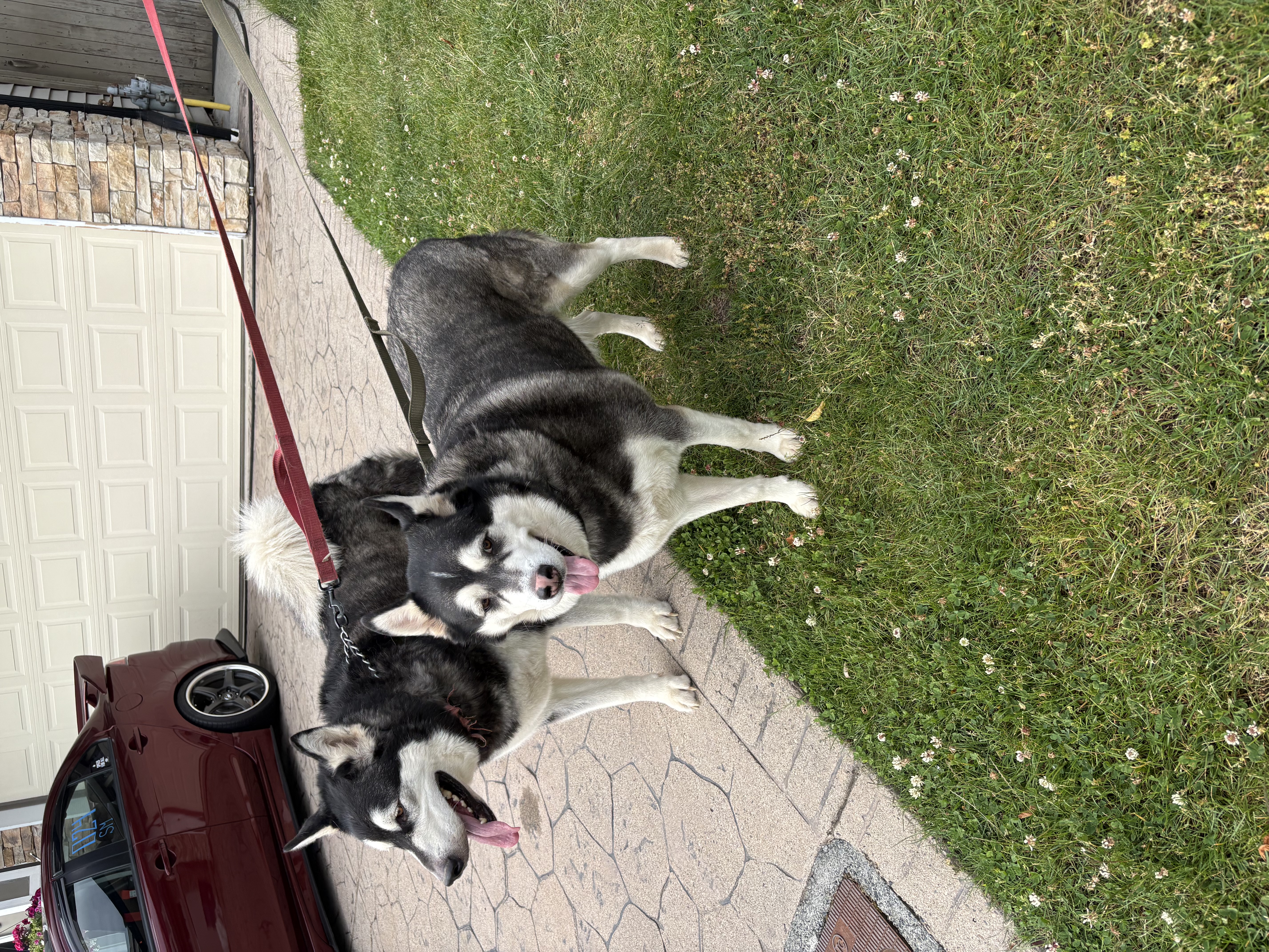 image-13
