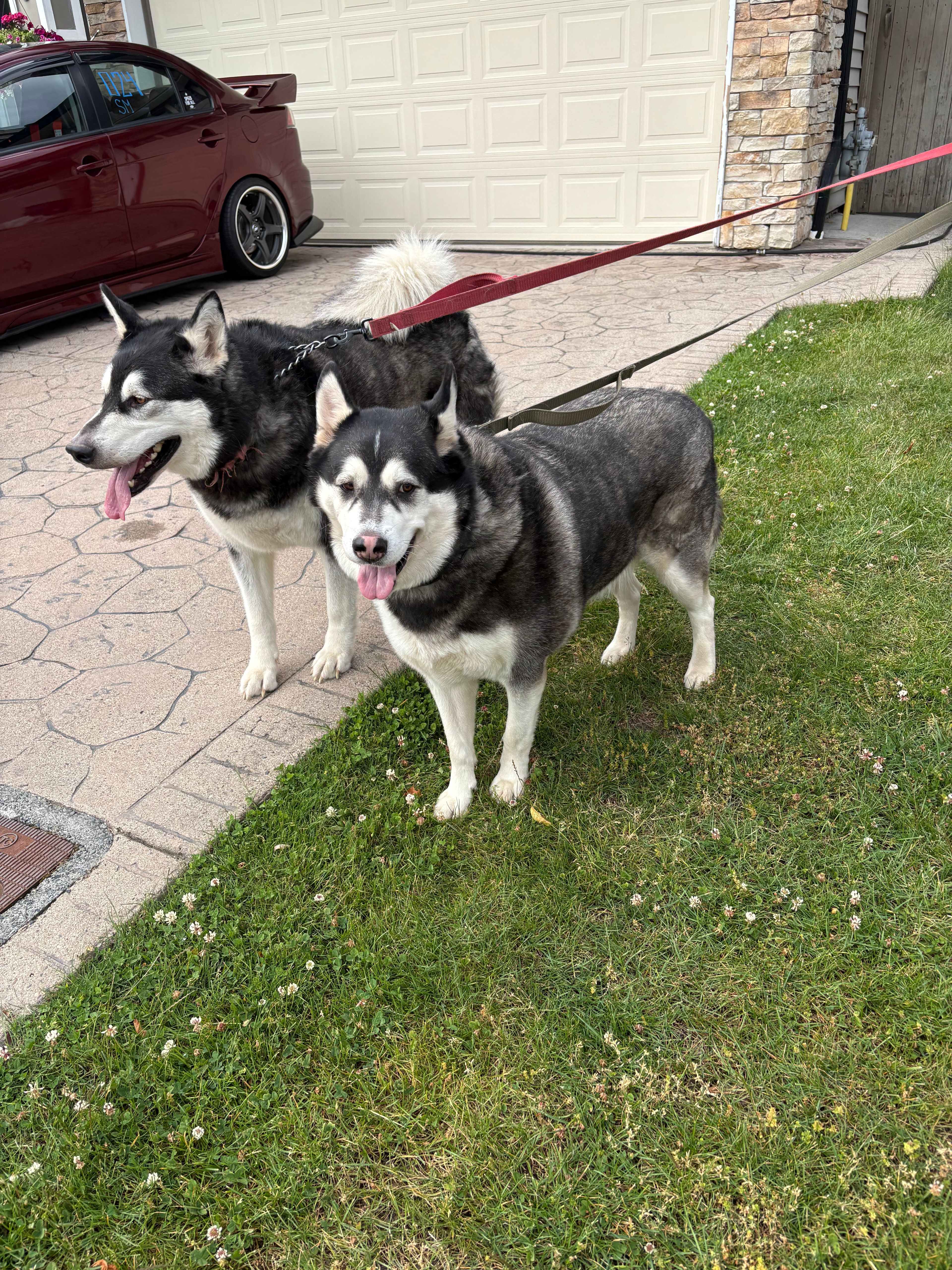 image-13