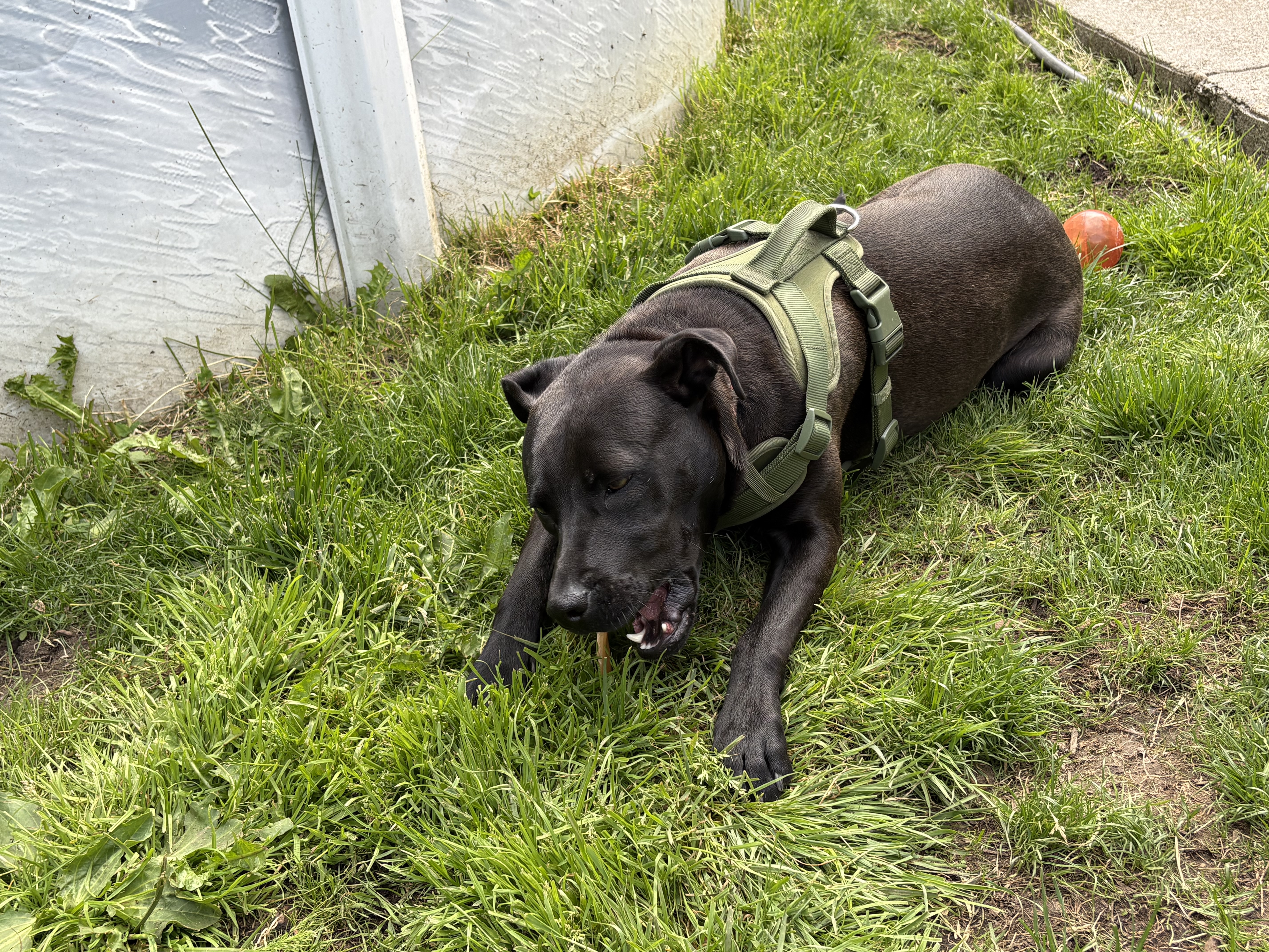 image-11