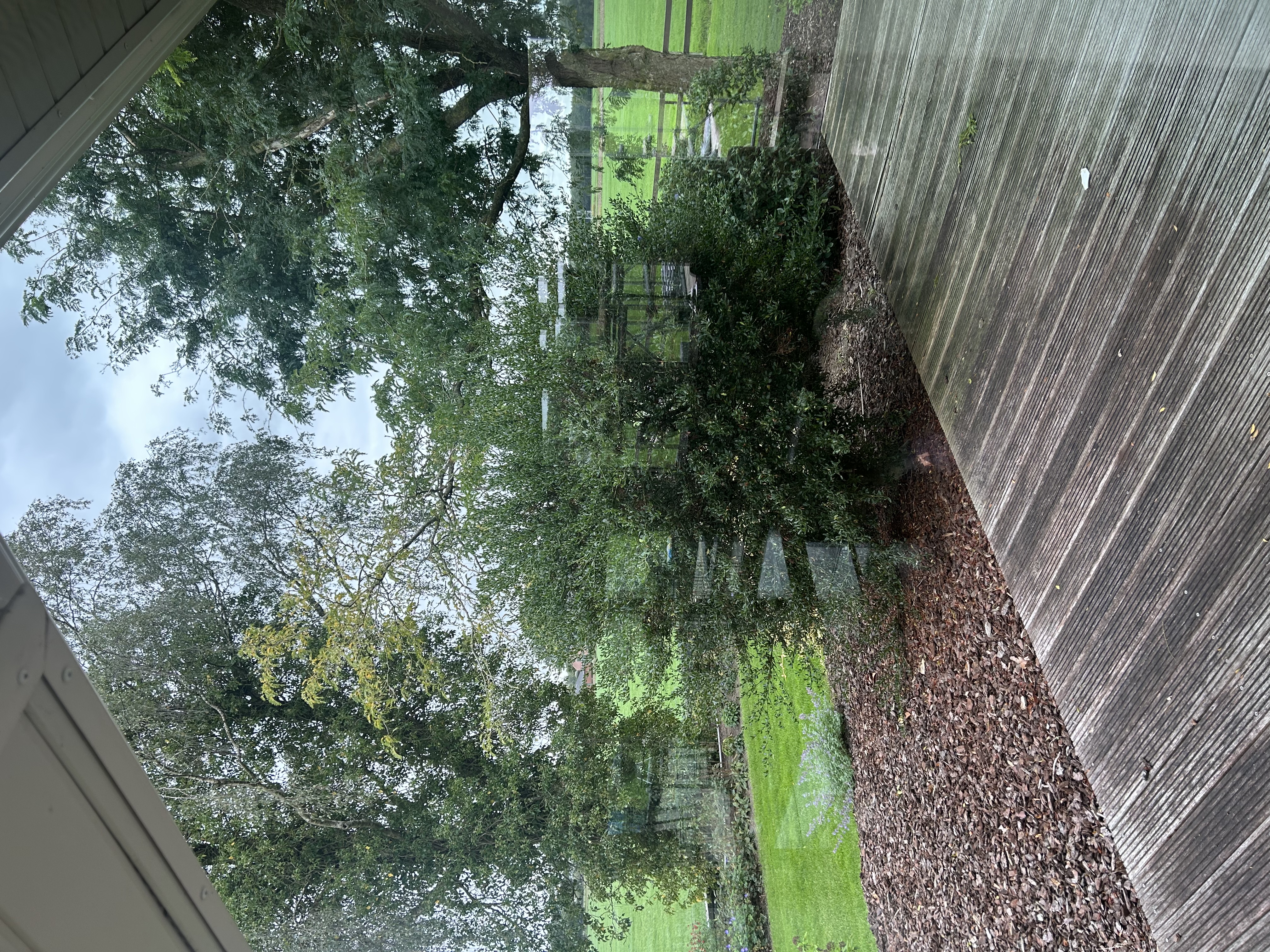 image-19