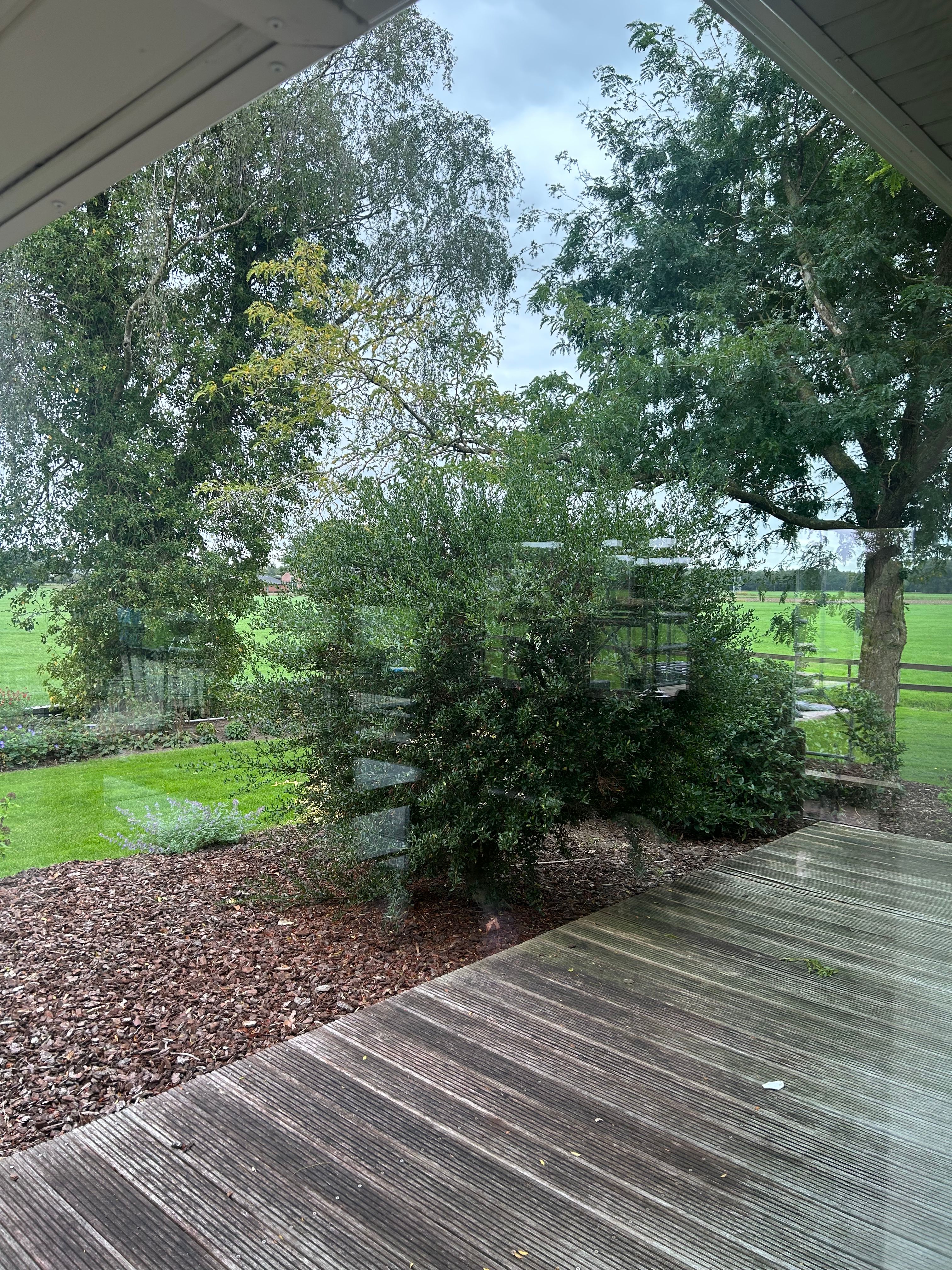 image-19