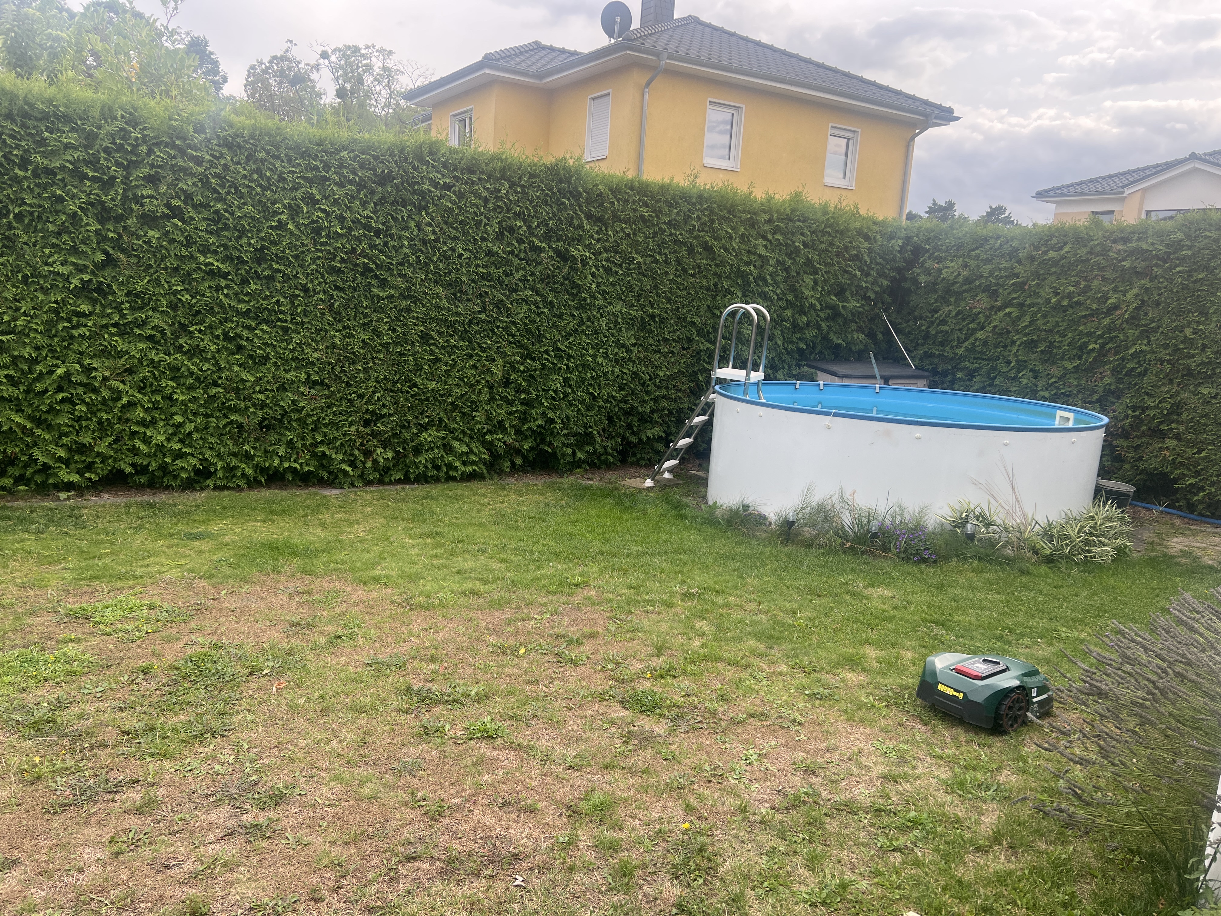 image-14